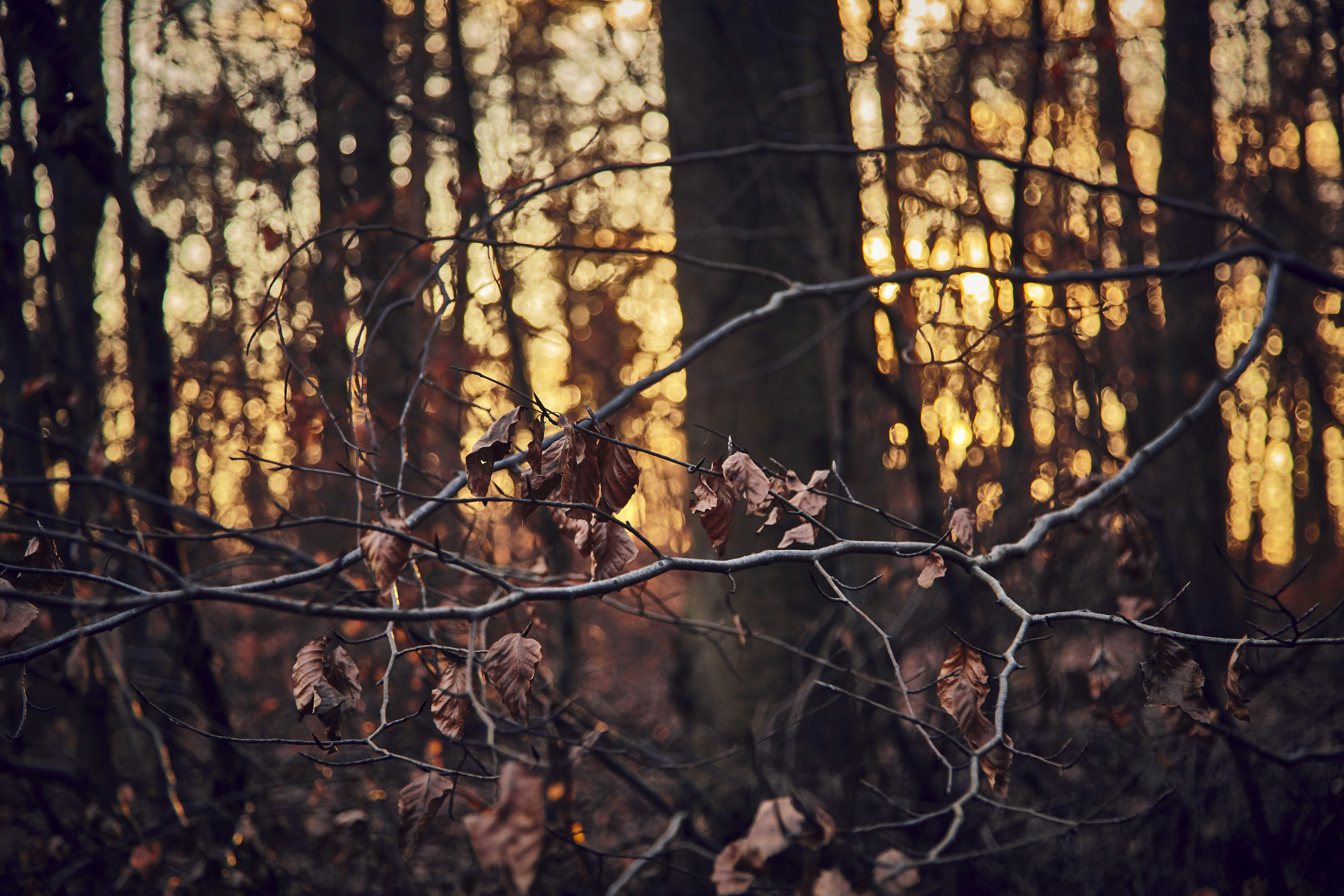 Photo by quadratmedia