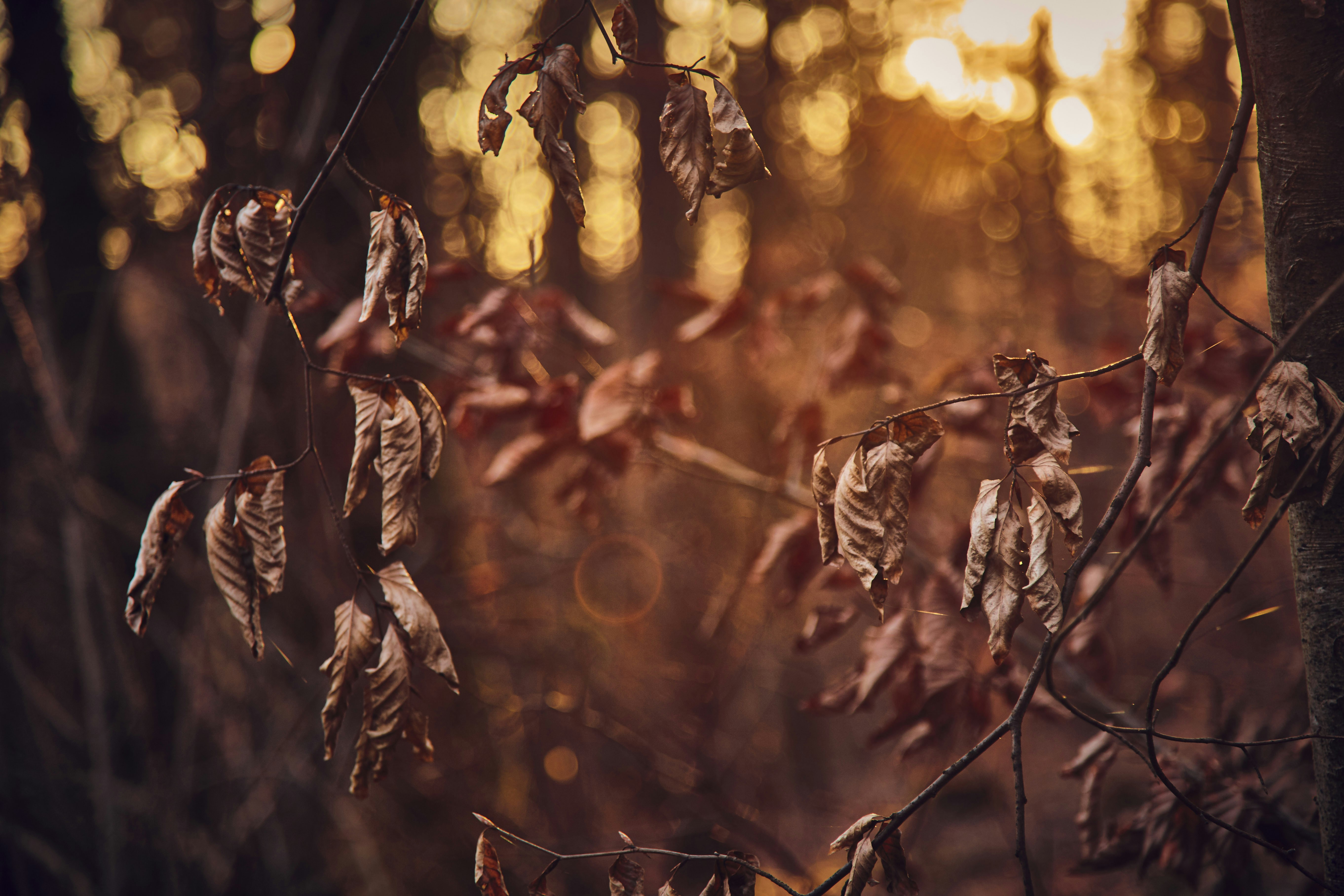 Photo by quadratmedia