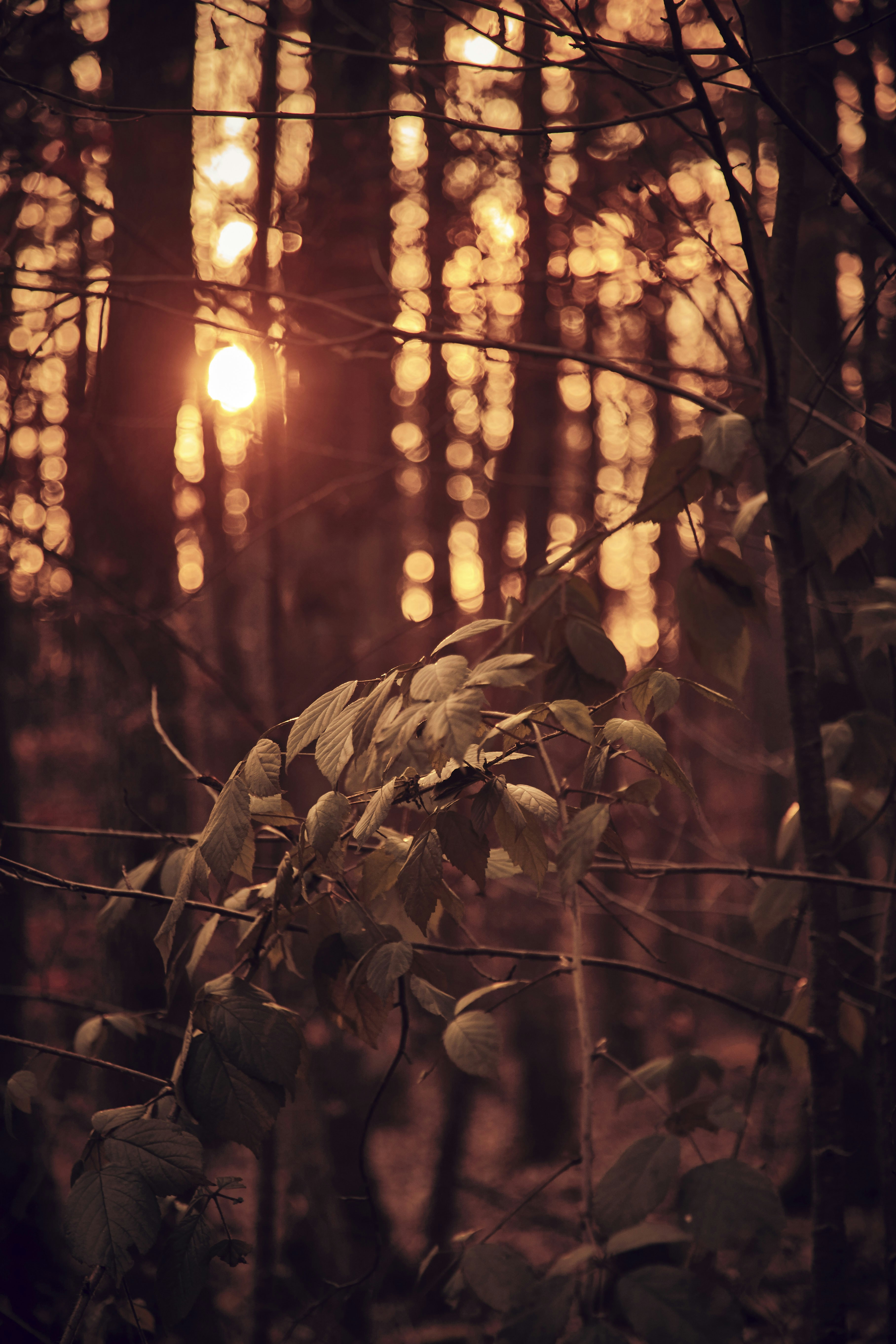 Photo by quadratmedia