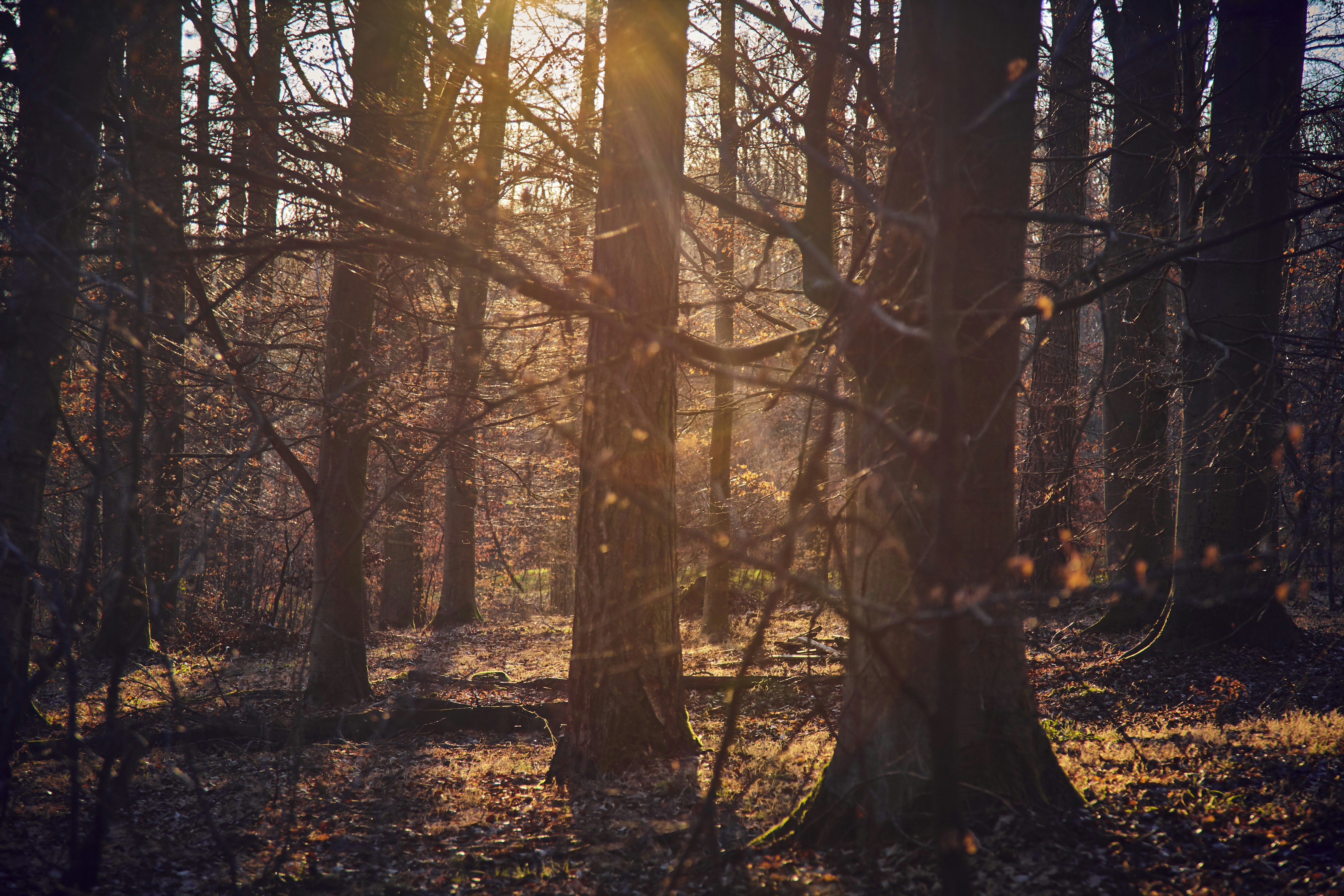 Photo by quadratmedia