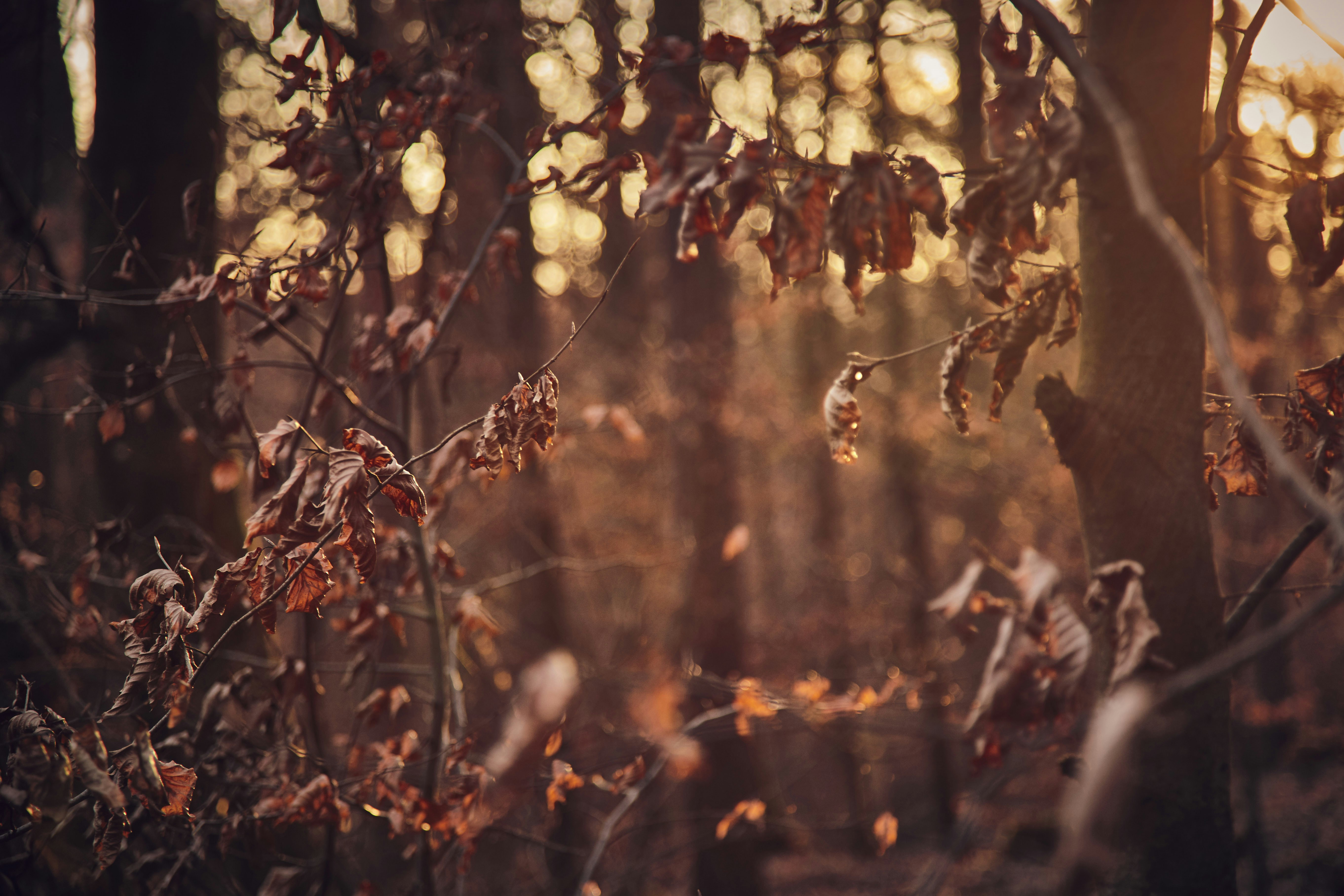 Photo by quadratmedia