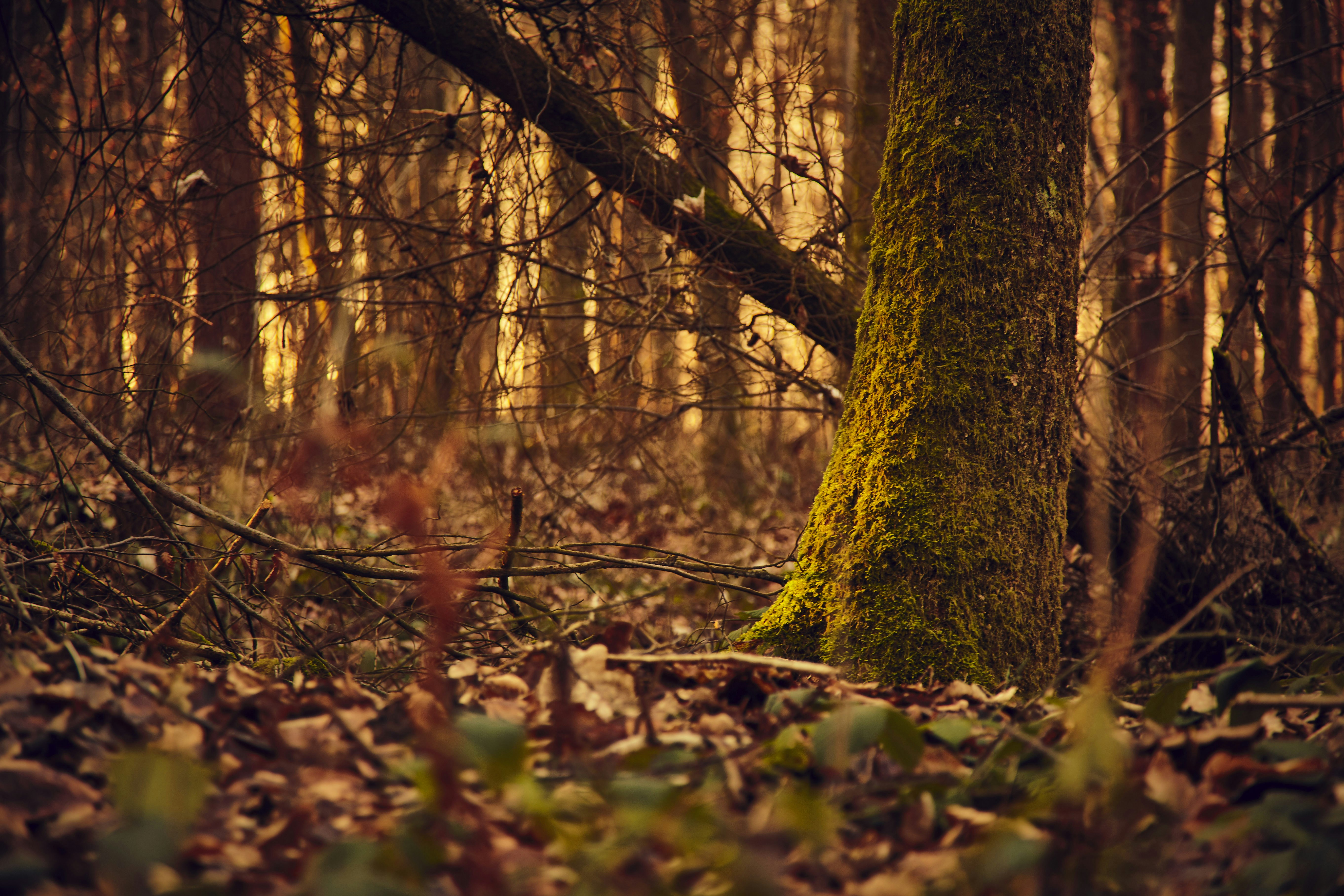 Photo by quadratmedia