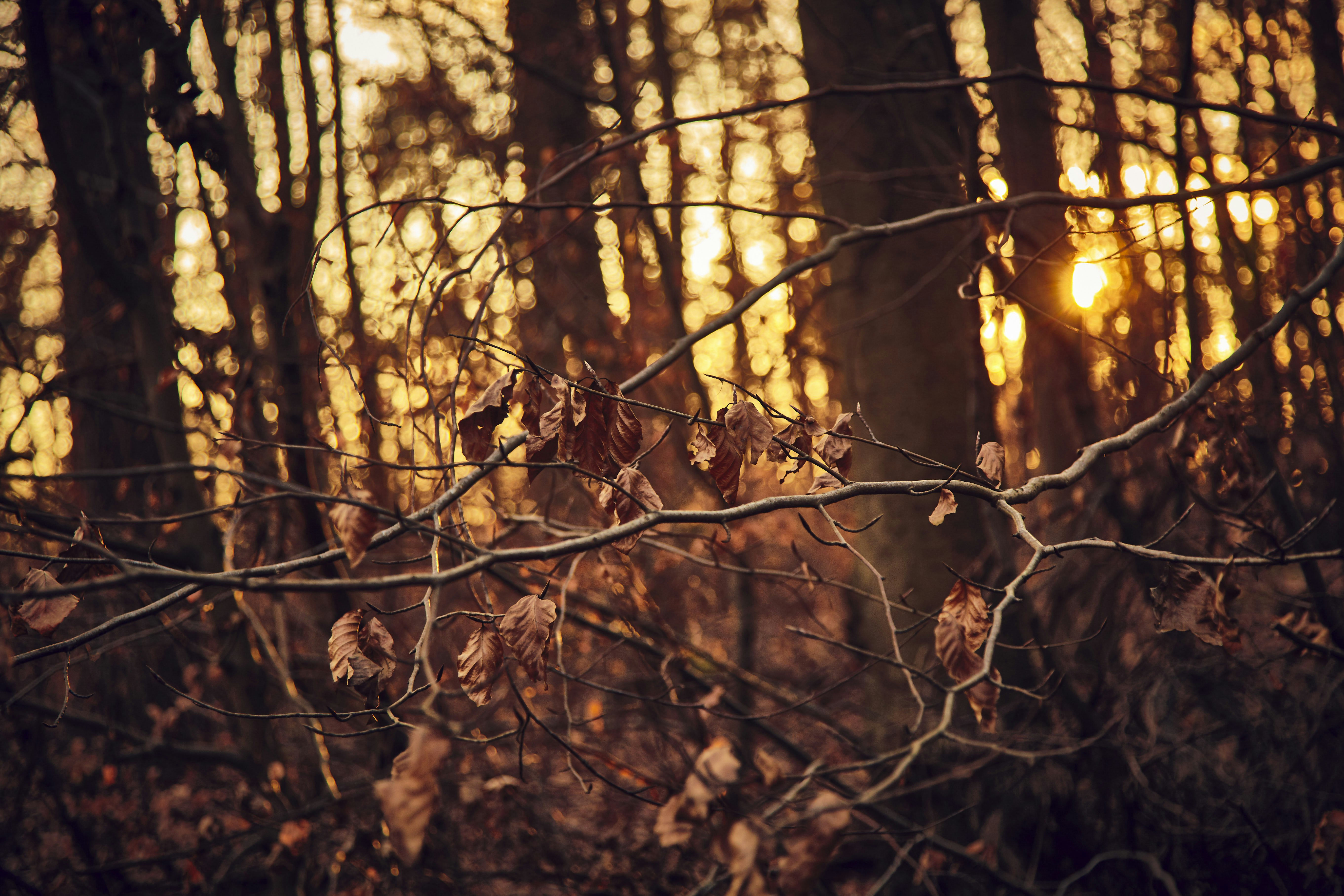 Photo by quadratmedia