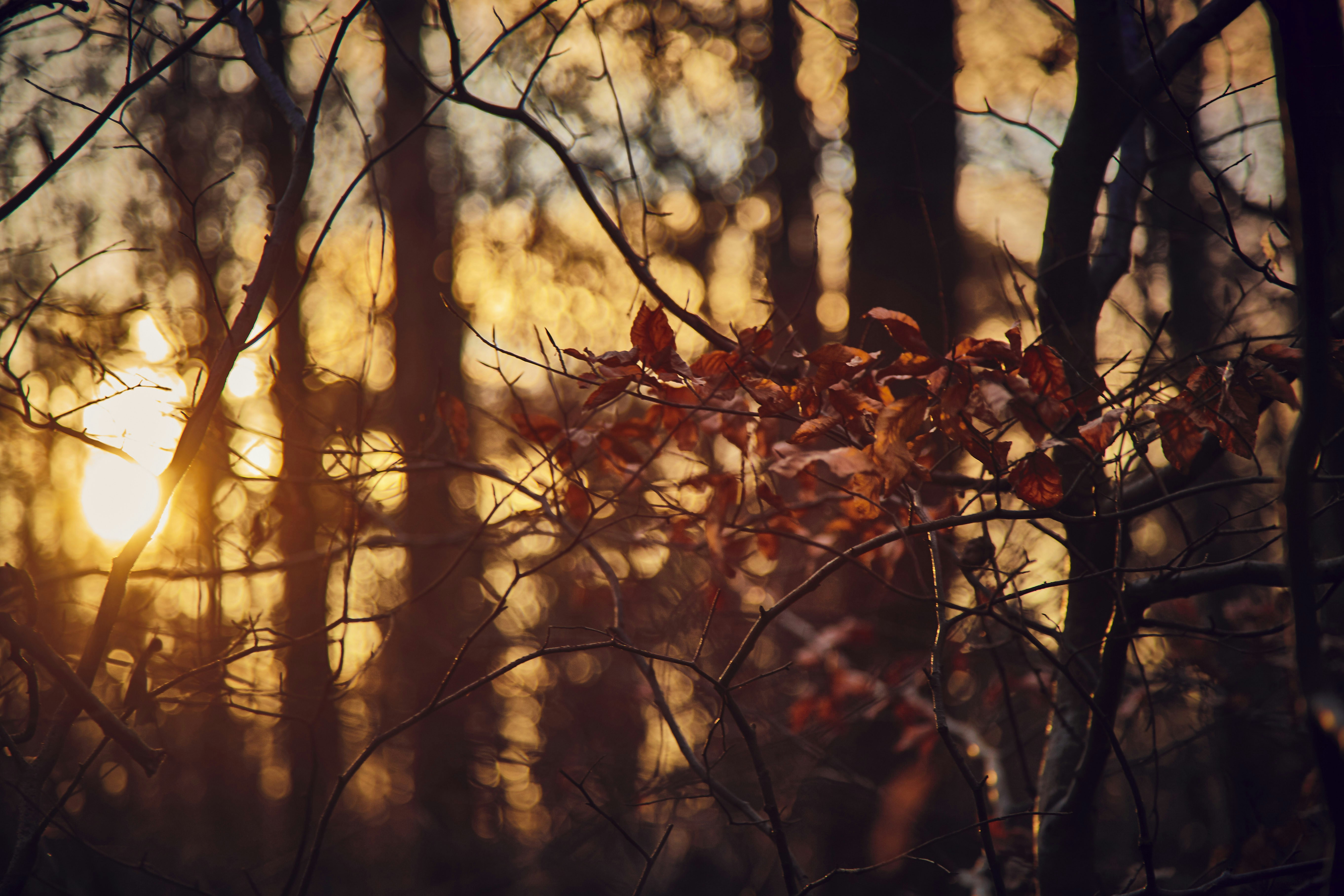 Photo by quadratmedia