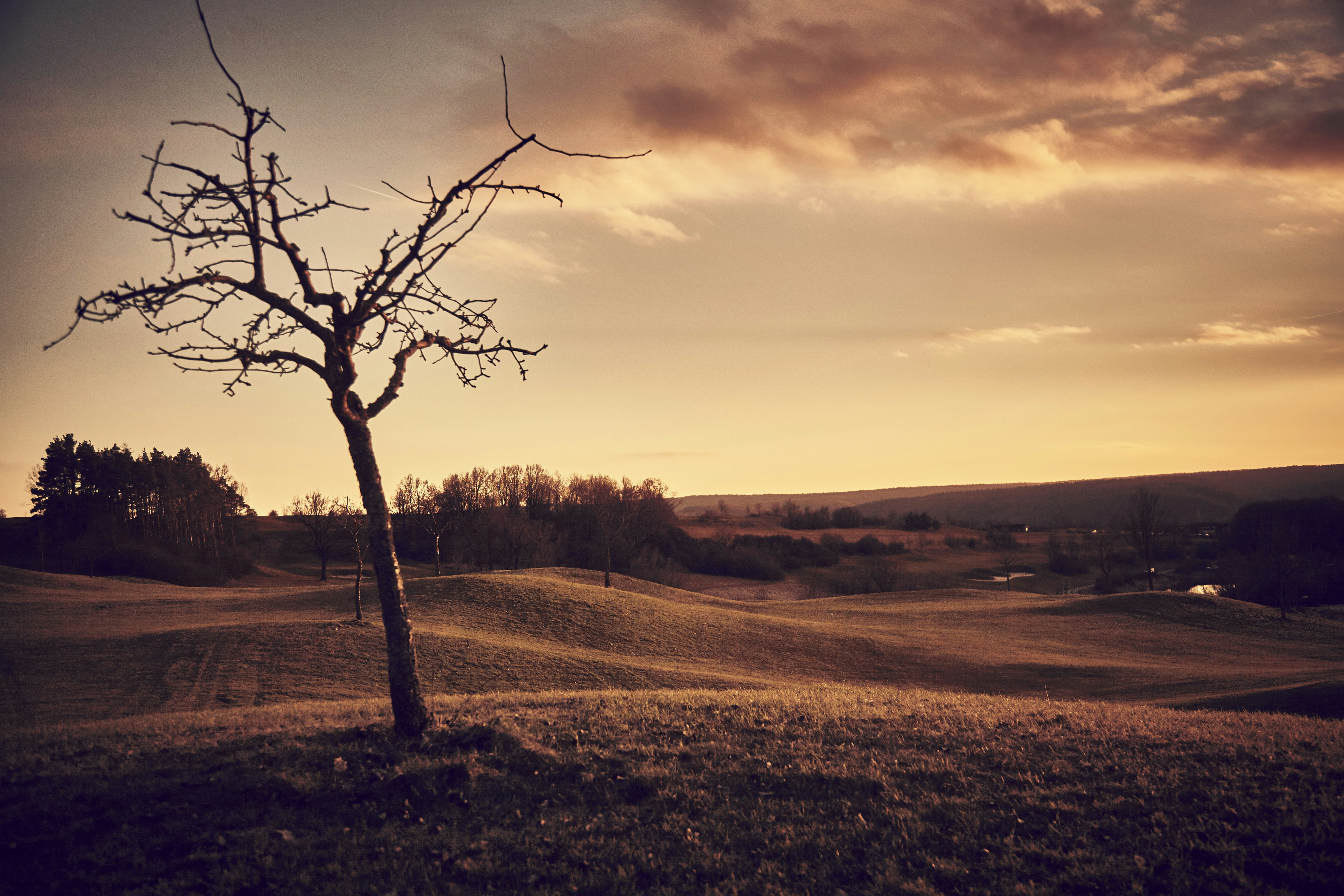 Photo by quadratmedia