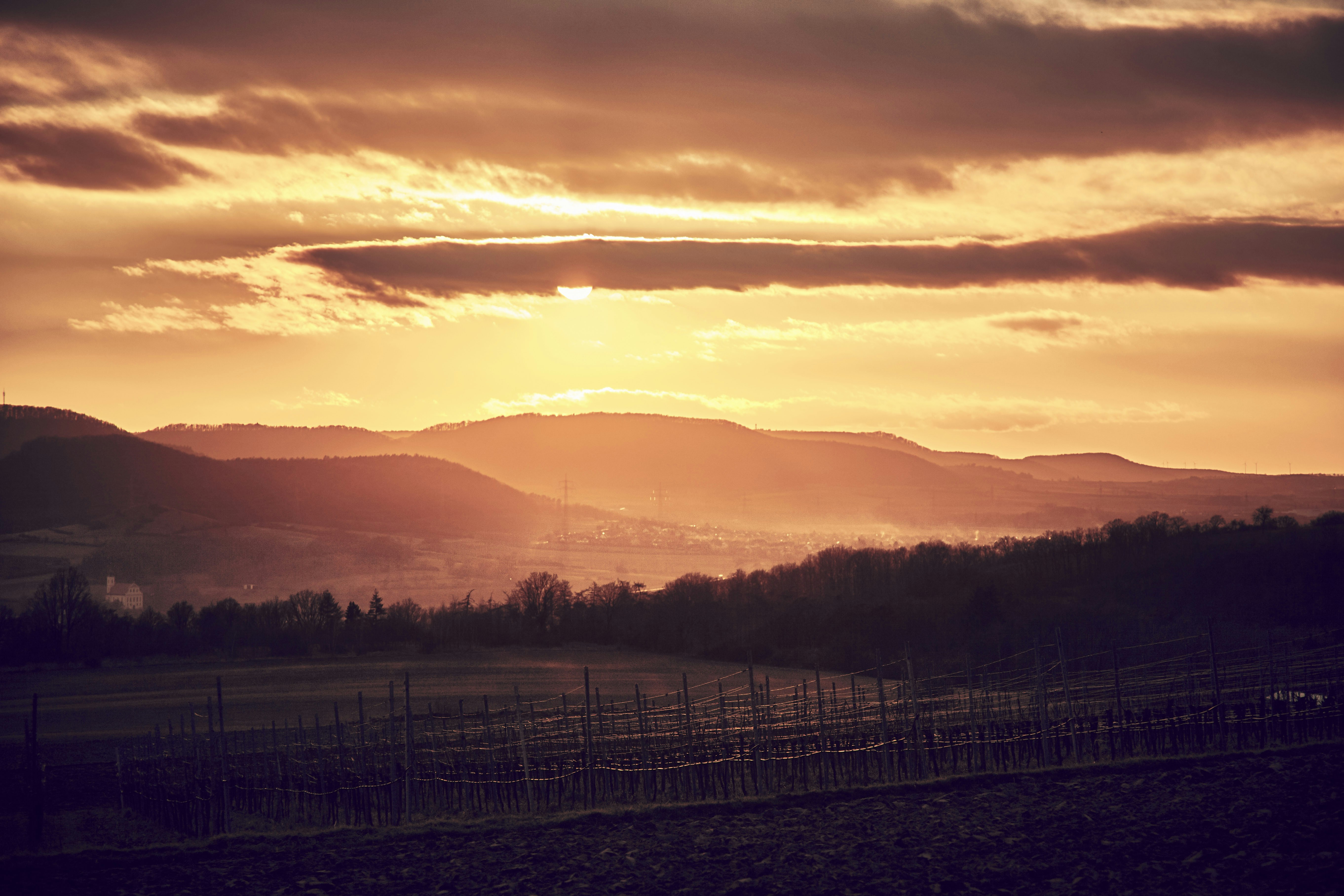 Photo by quadratmedia