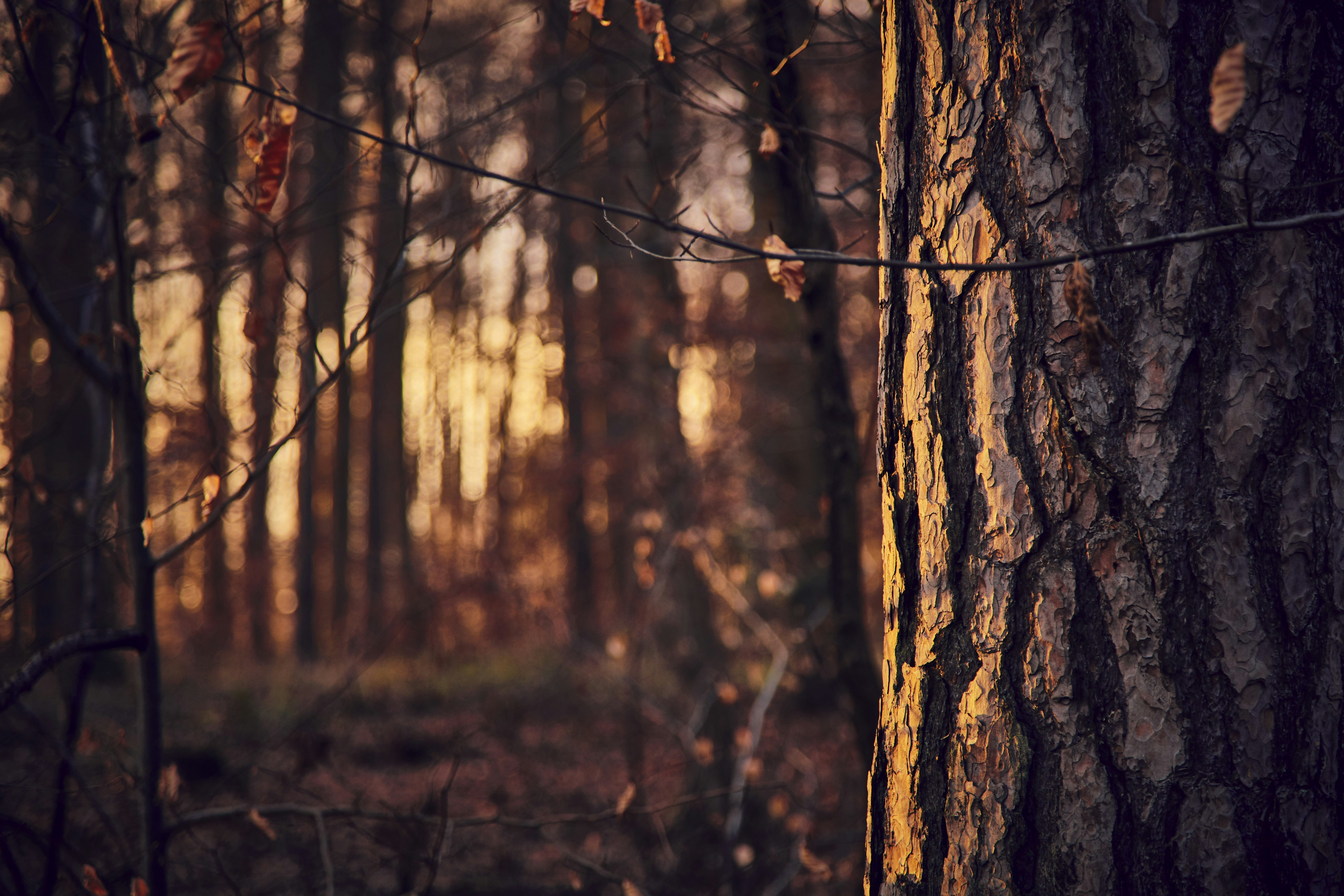 Photo by quadratmedia