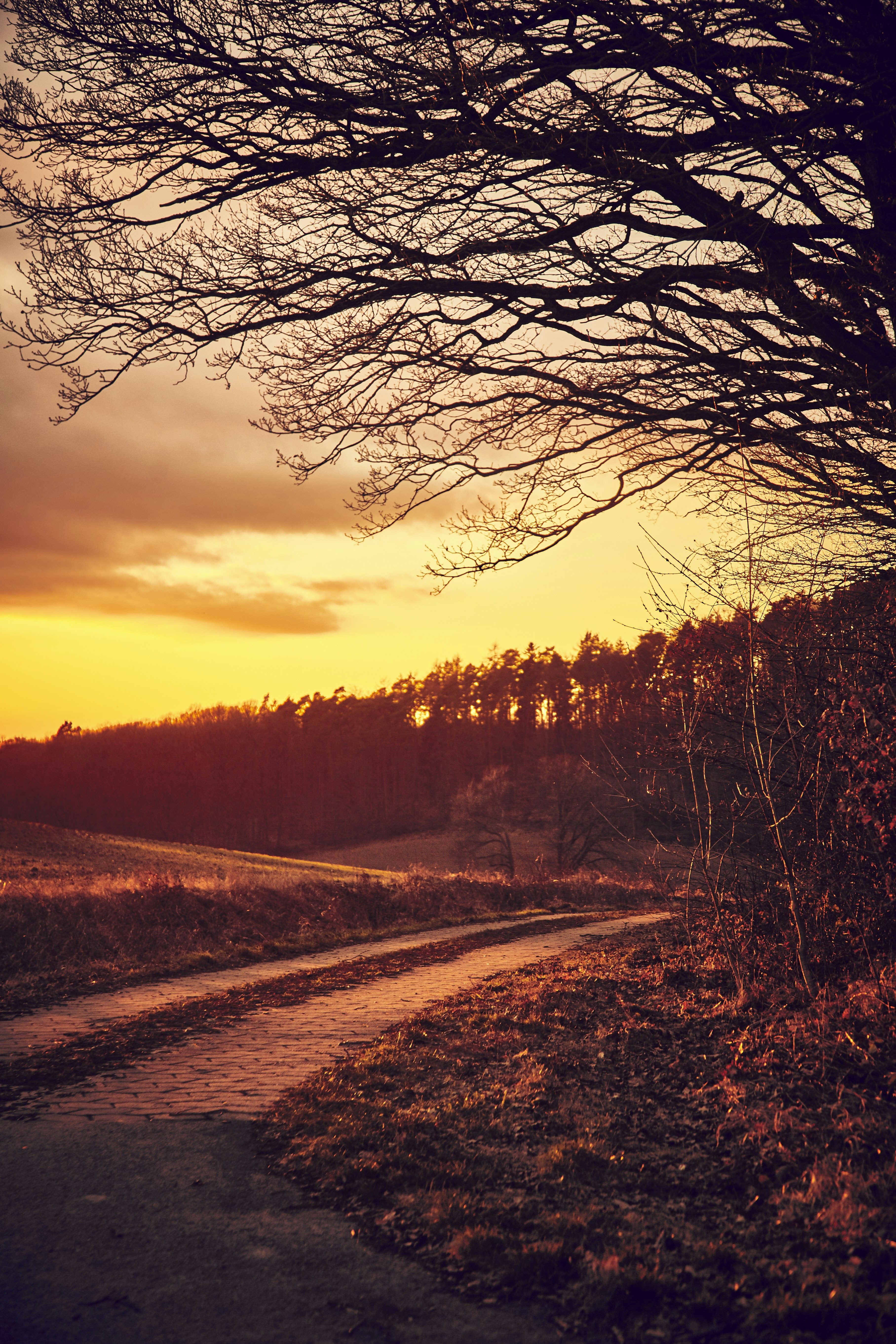 Photo by quadratmedia