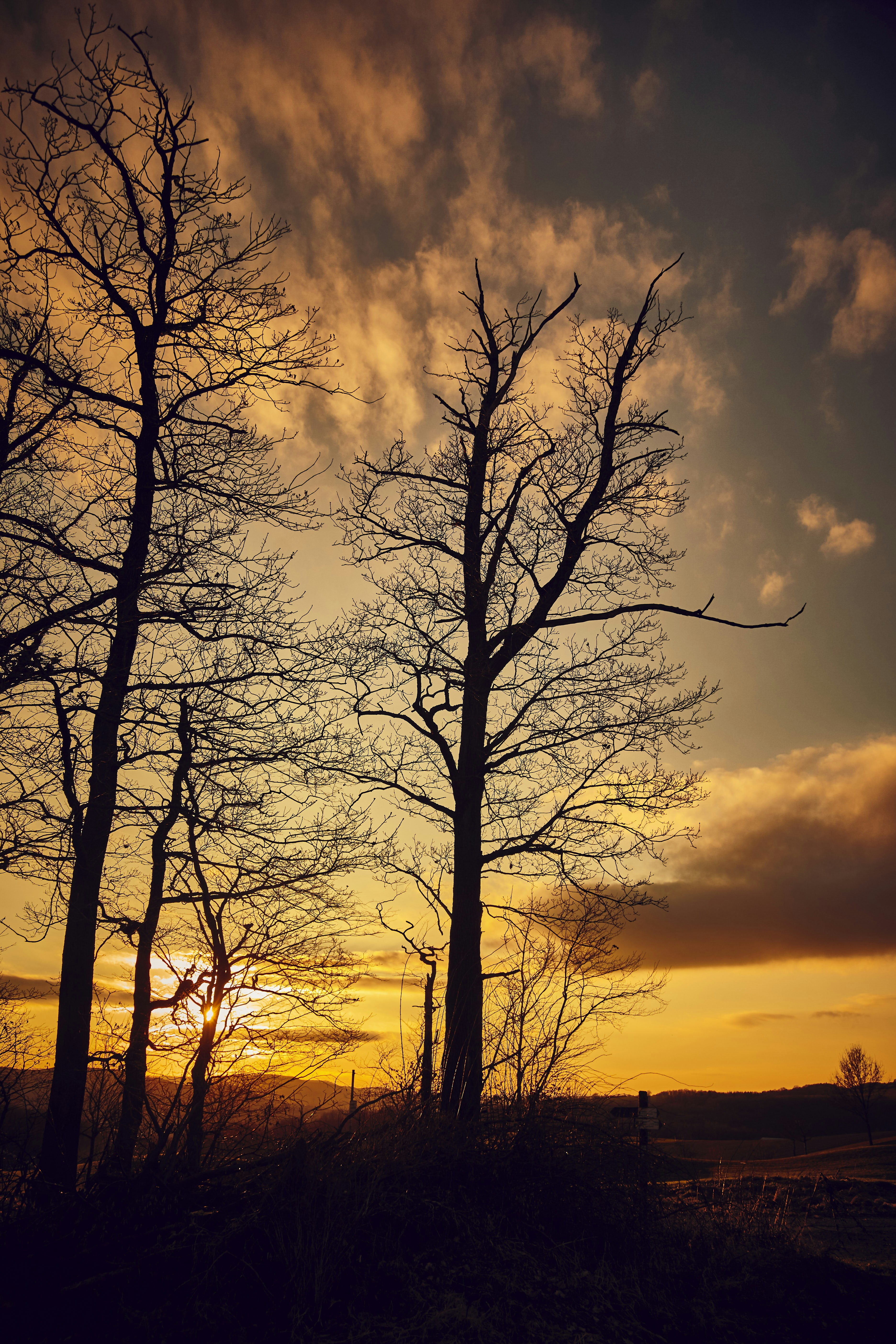 Photo by quadratmedia