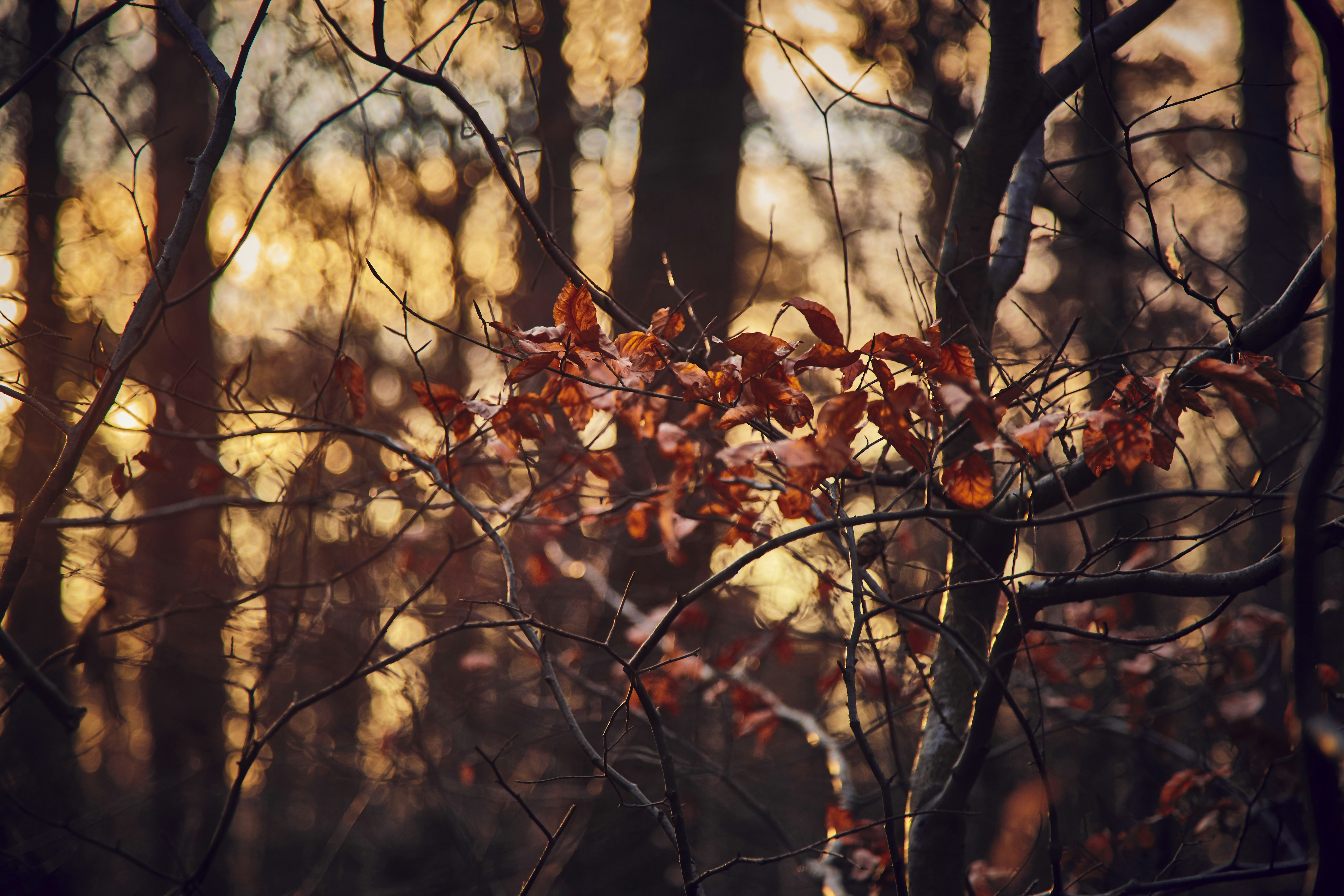 Photo by quadratmedia