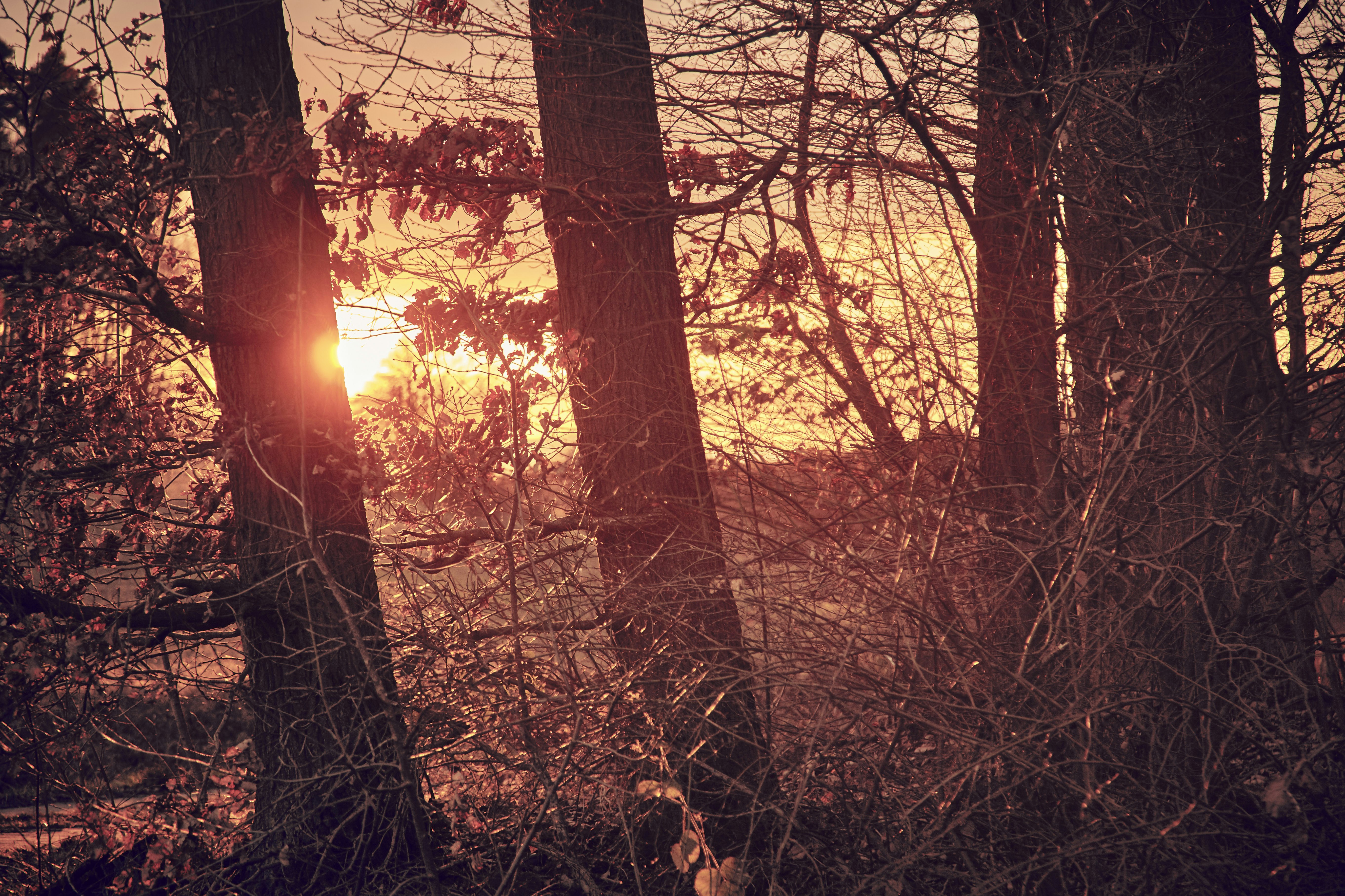 Photo by quadratmedia