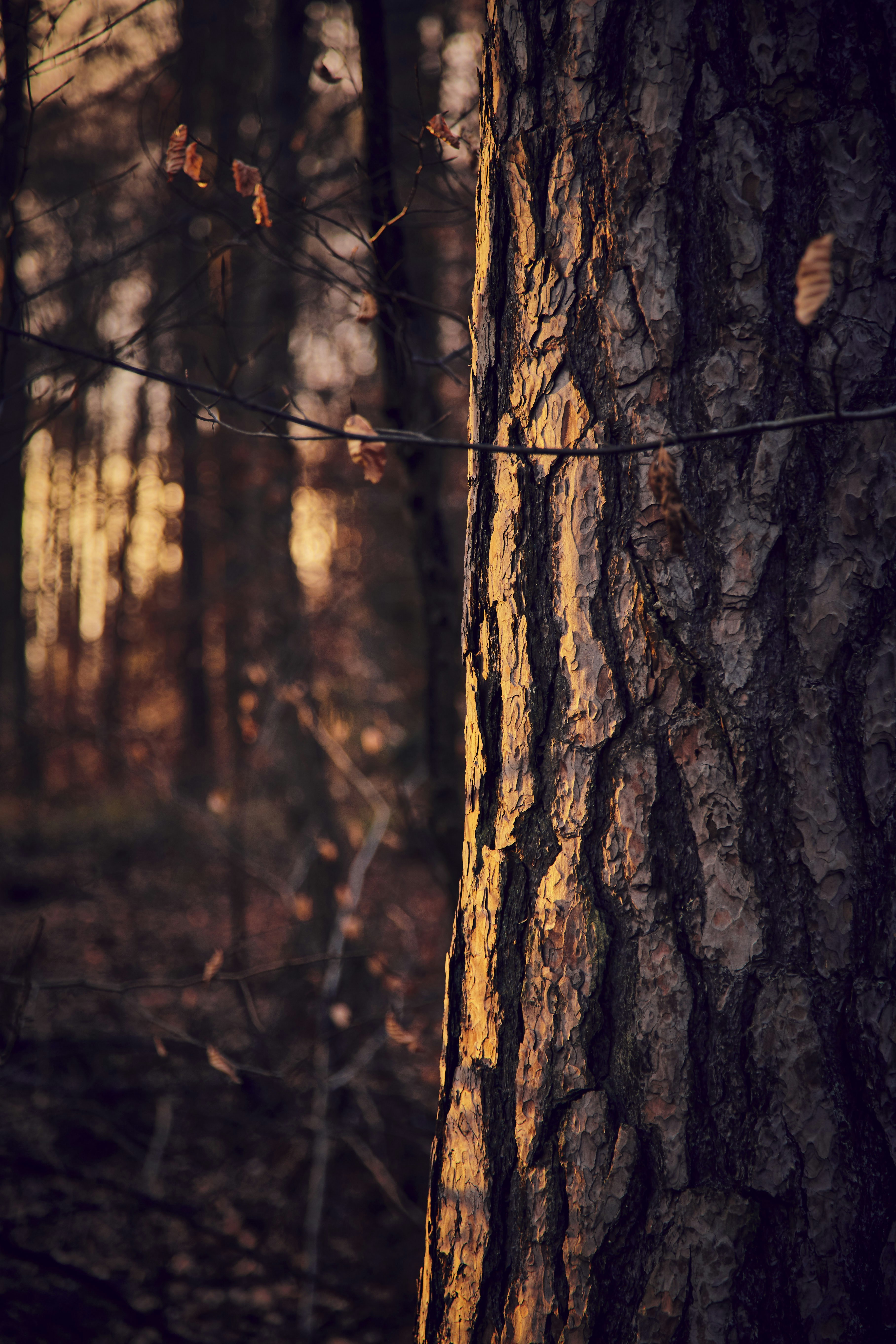 Photo by quadratmedia