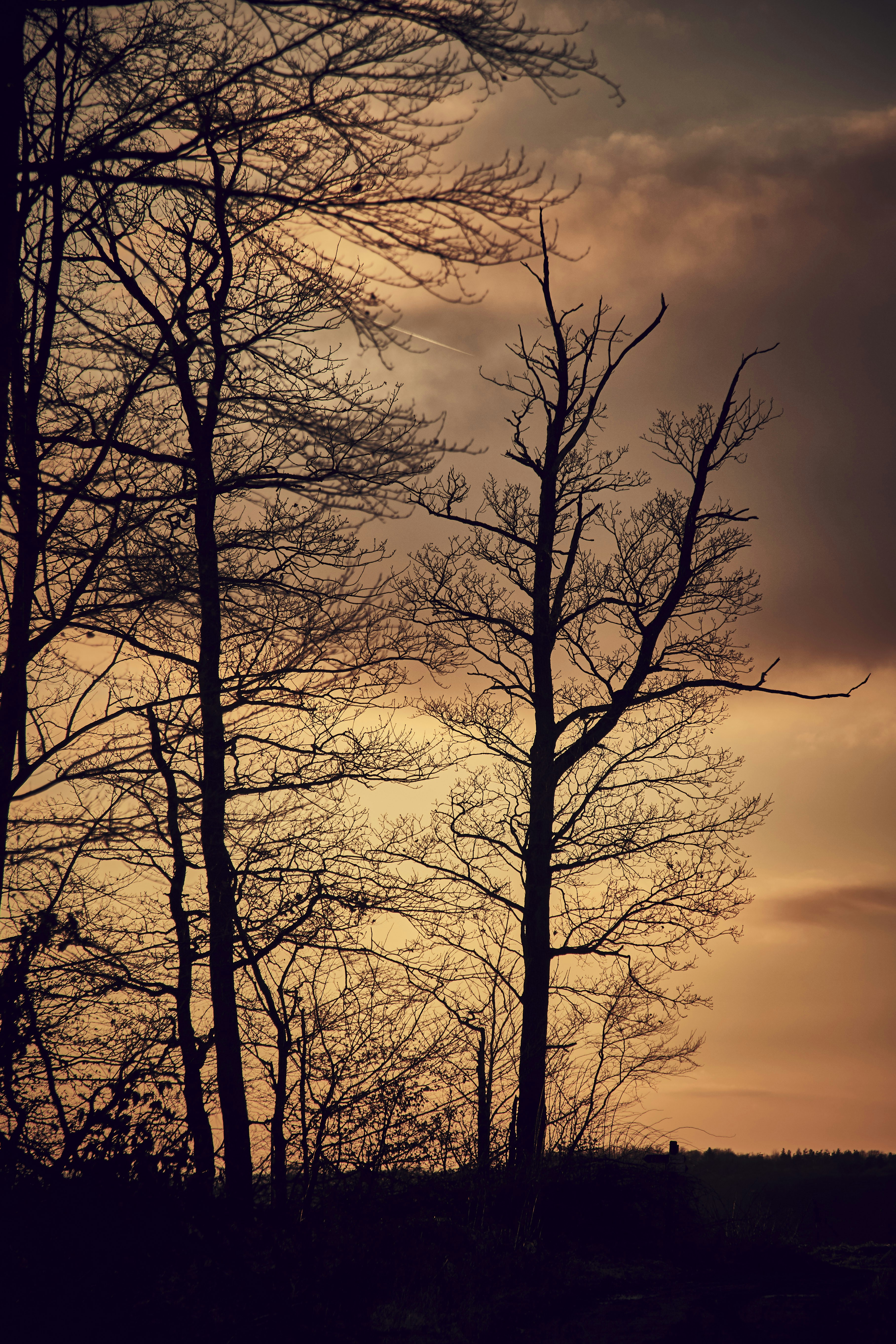 Photo by quadratmedia