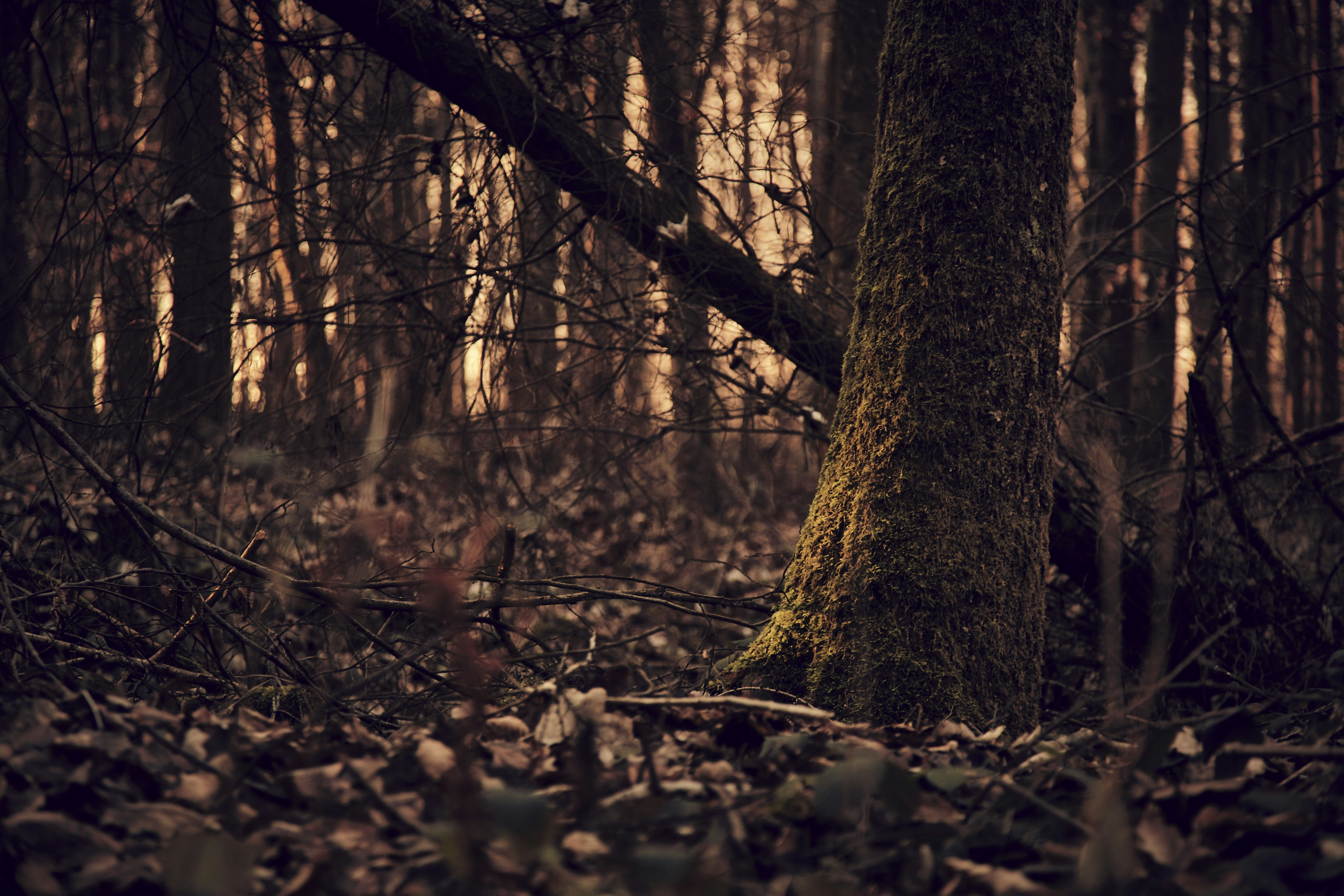 Photo by quadratmedia