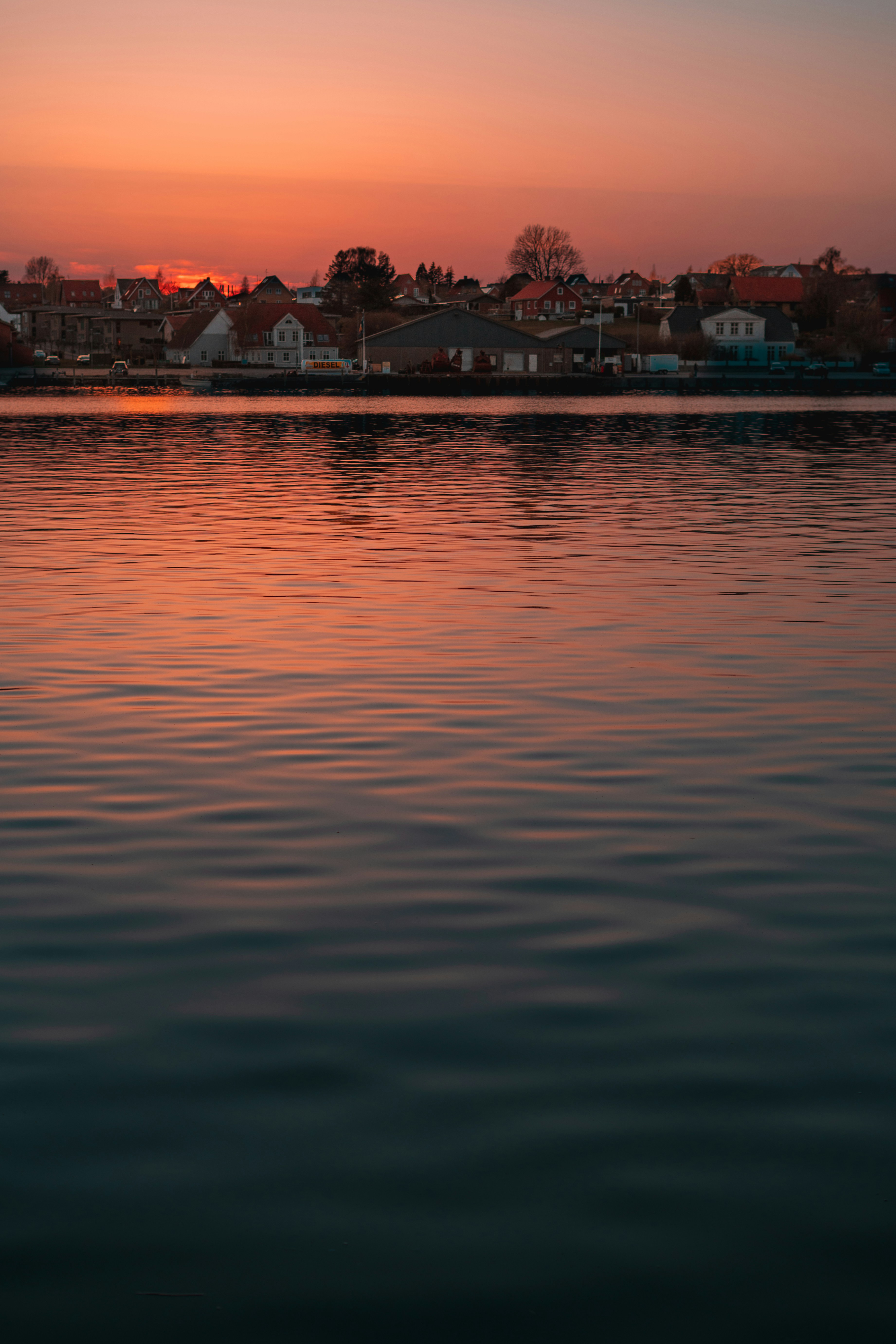 University of Southern Denmark
