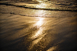 Golden sunlight glistening on crystal-clear waves at a quiet Philippine beach.