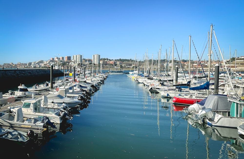 a harbor filled with lots of boats next to a city