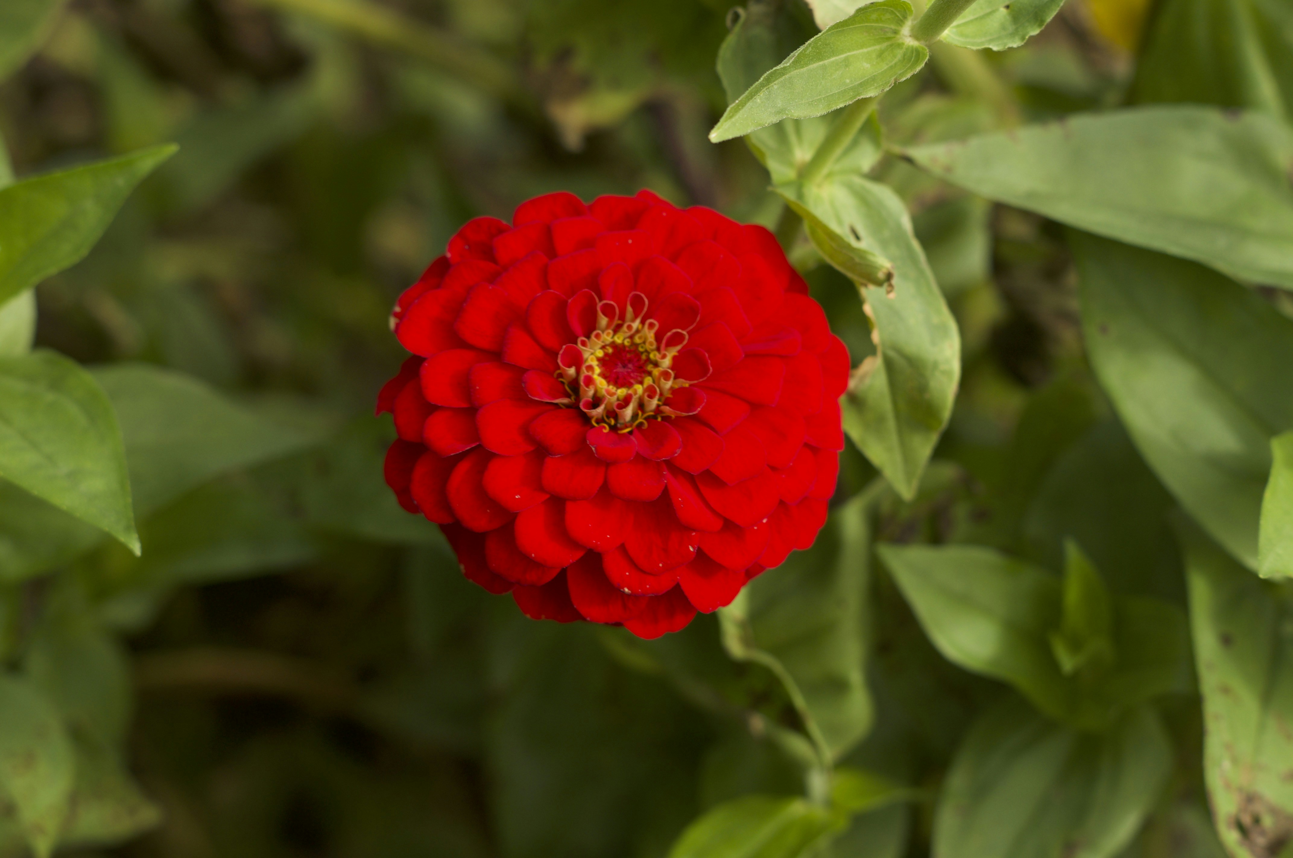 Photo by jokostudios