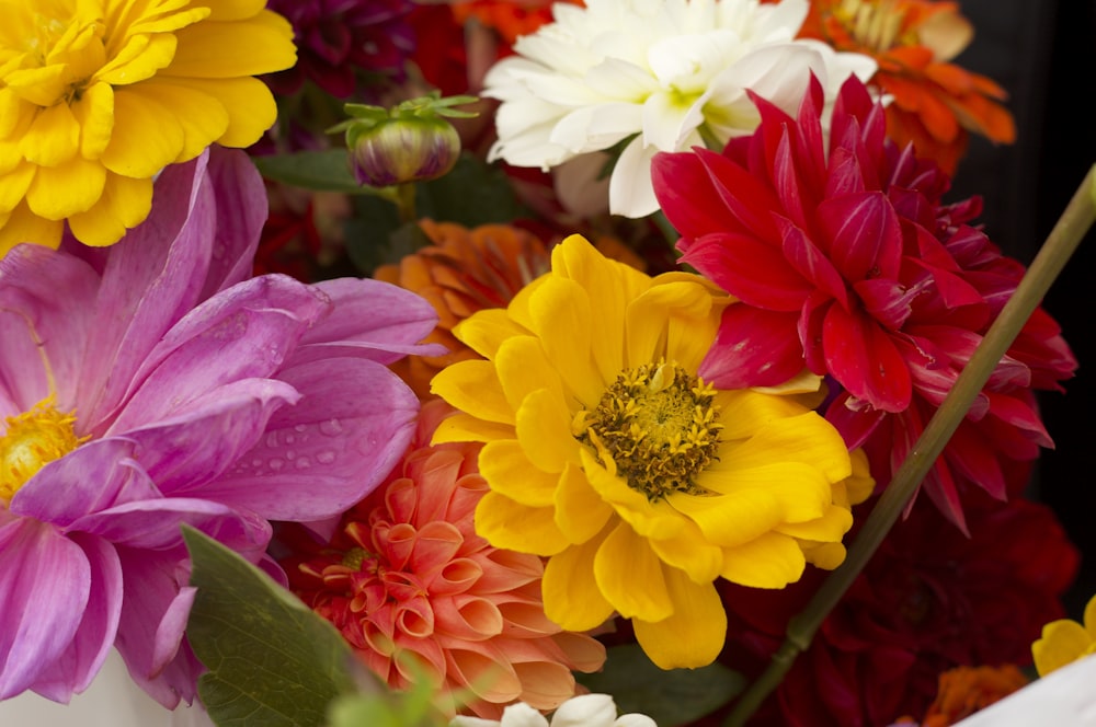 a bunch of flowers that are in a vase