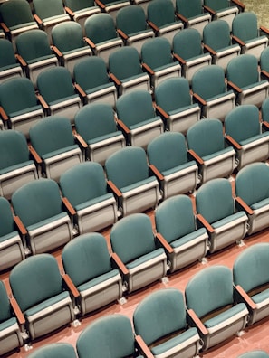 Rows of comfortable auditorium chairs with wooden armrests in a spacious hall.