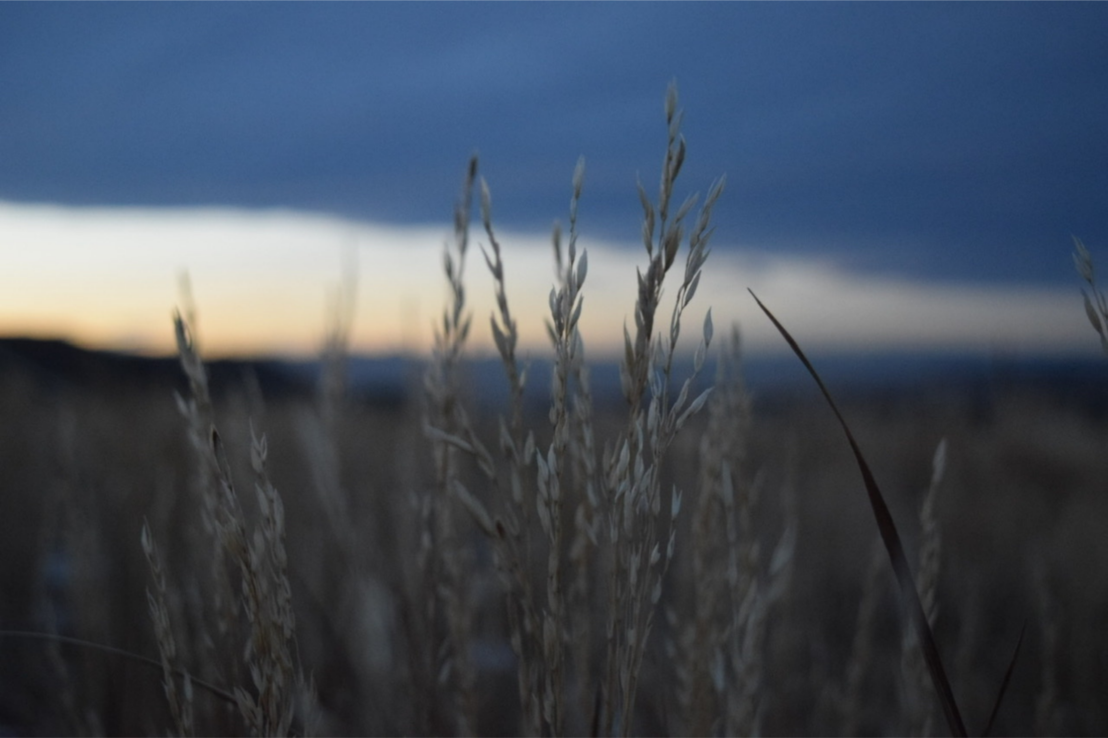 Photo by bradlirbrown