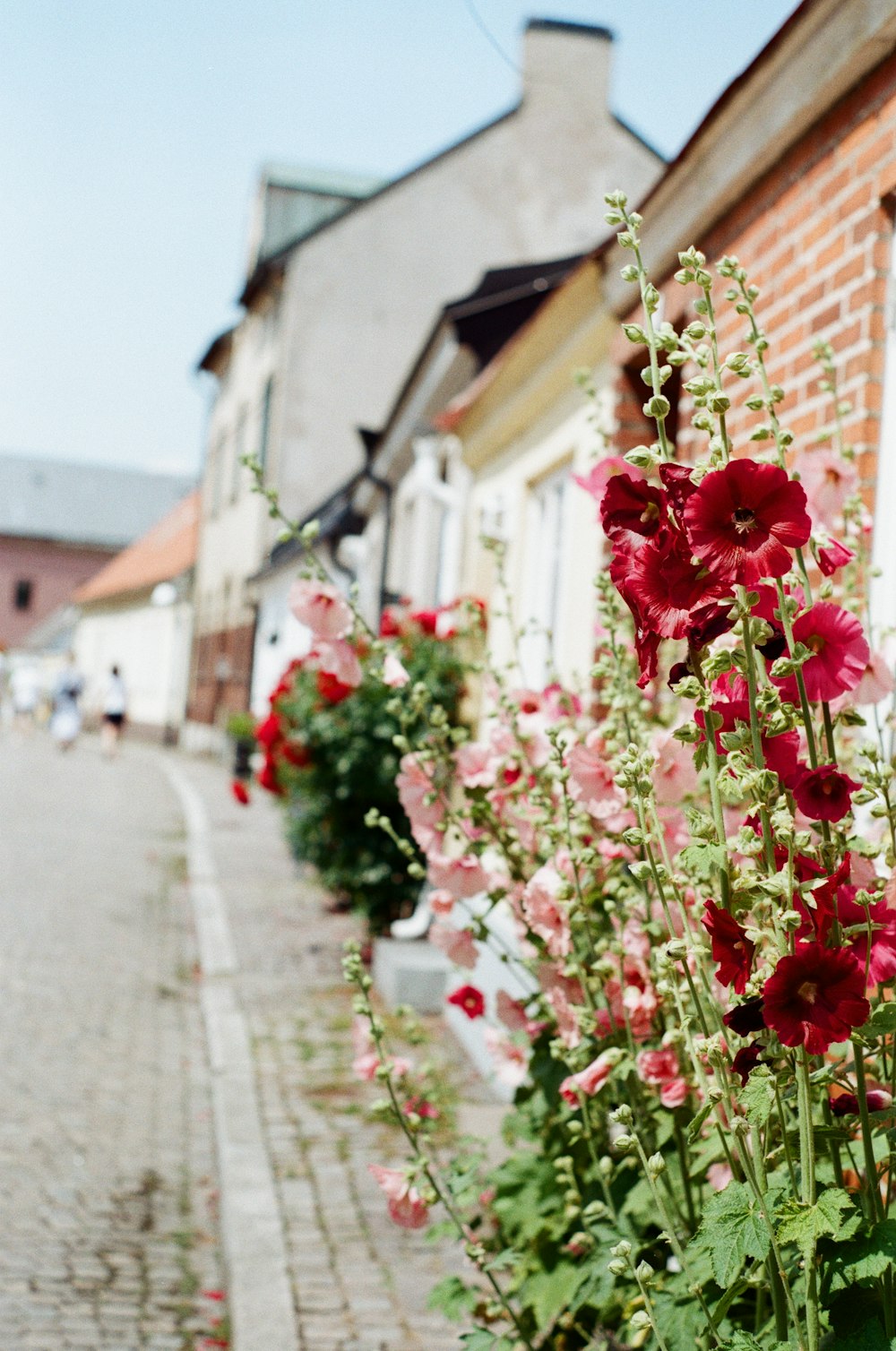 a bunch of flowers that are by a building