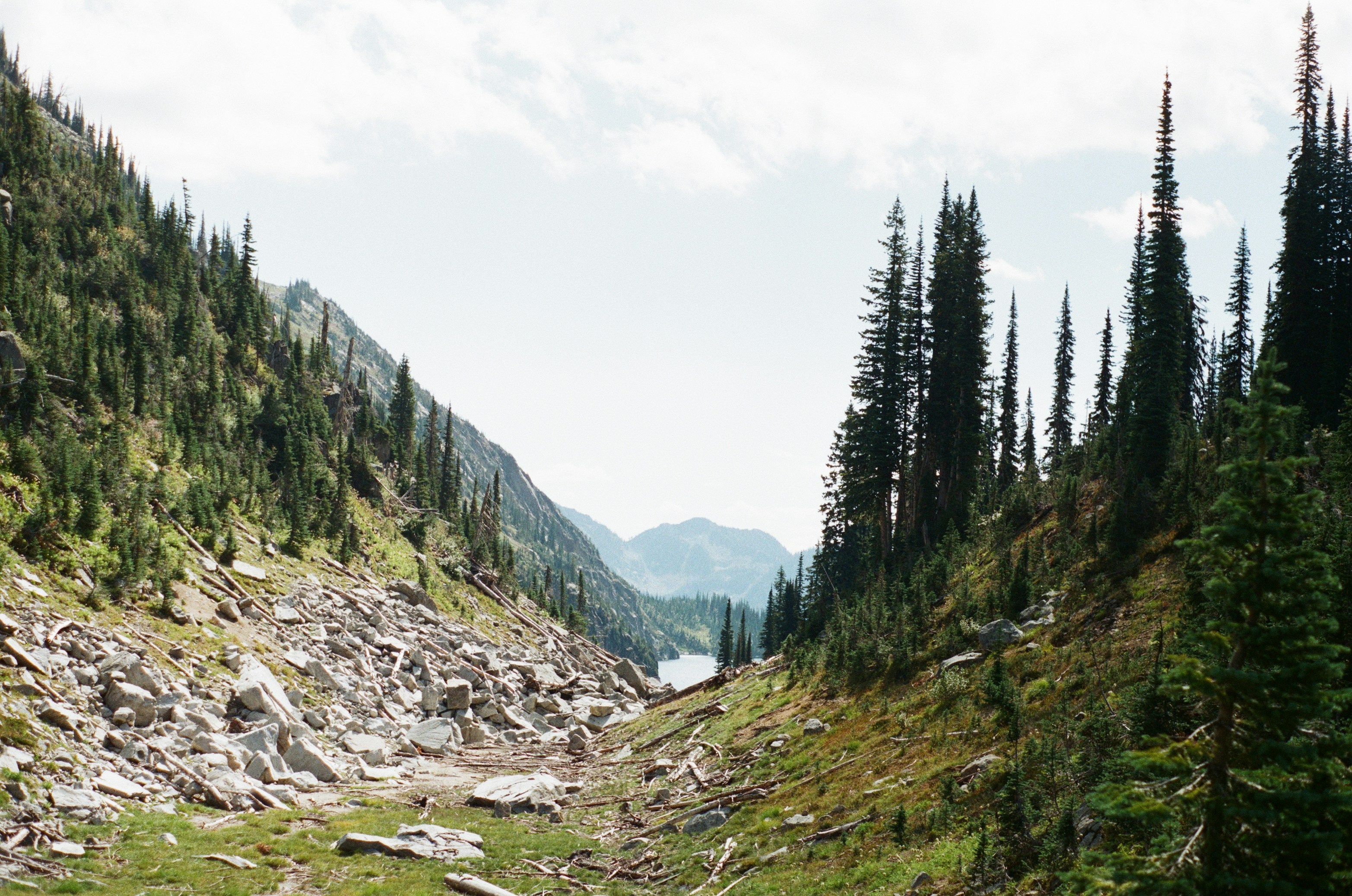 Photo by ellenborglund