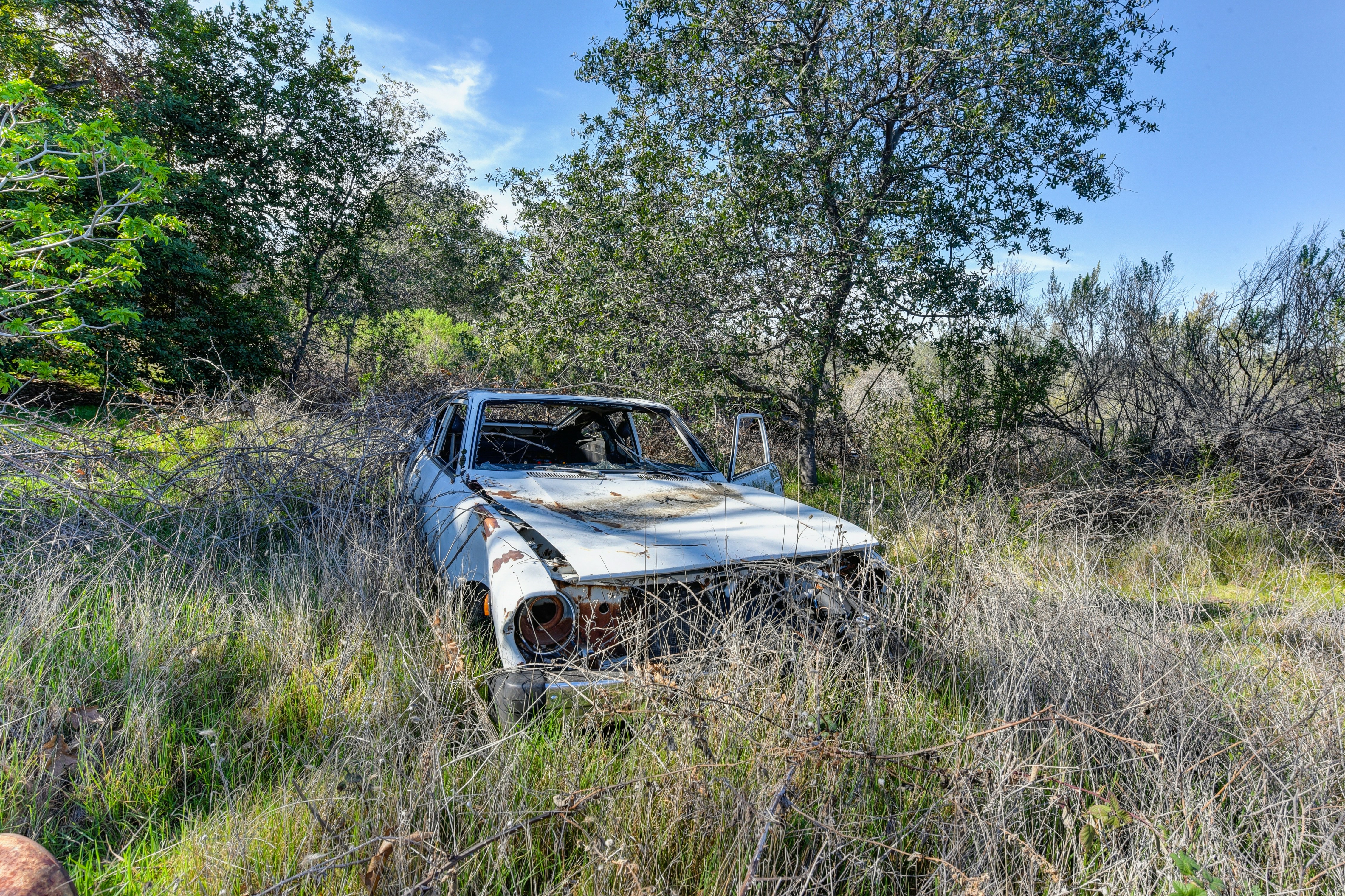 Photo by leo_visions_