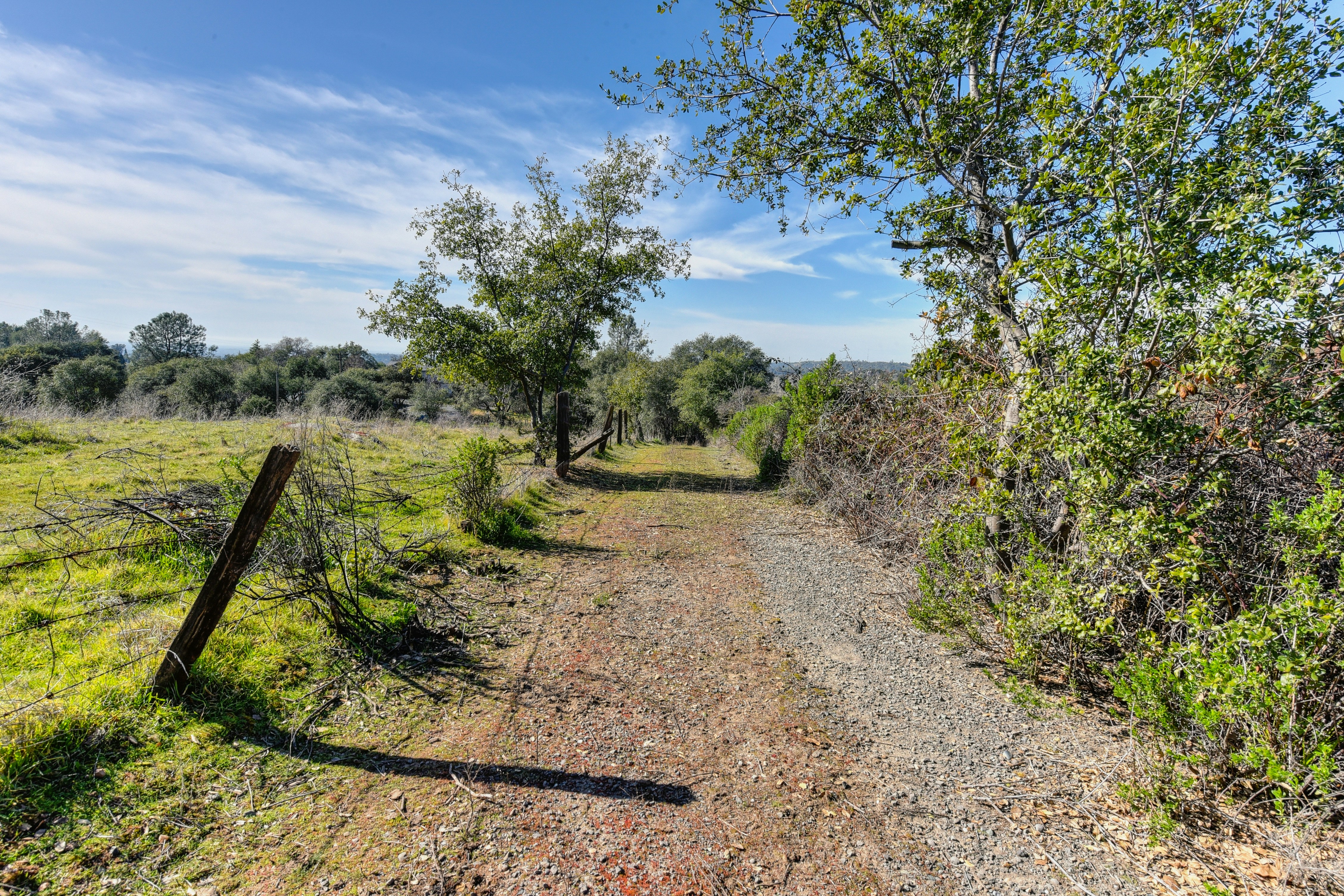 Photo by leo_visions_