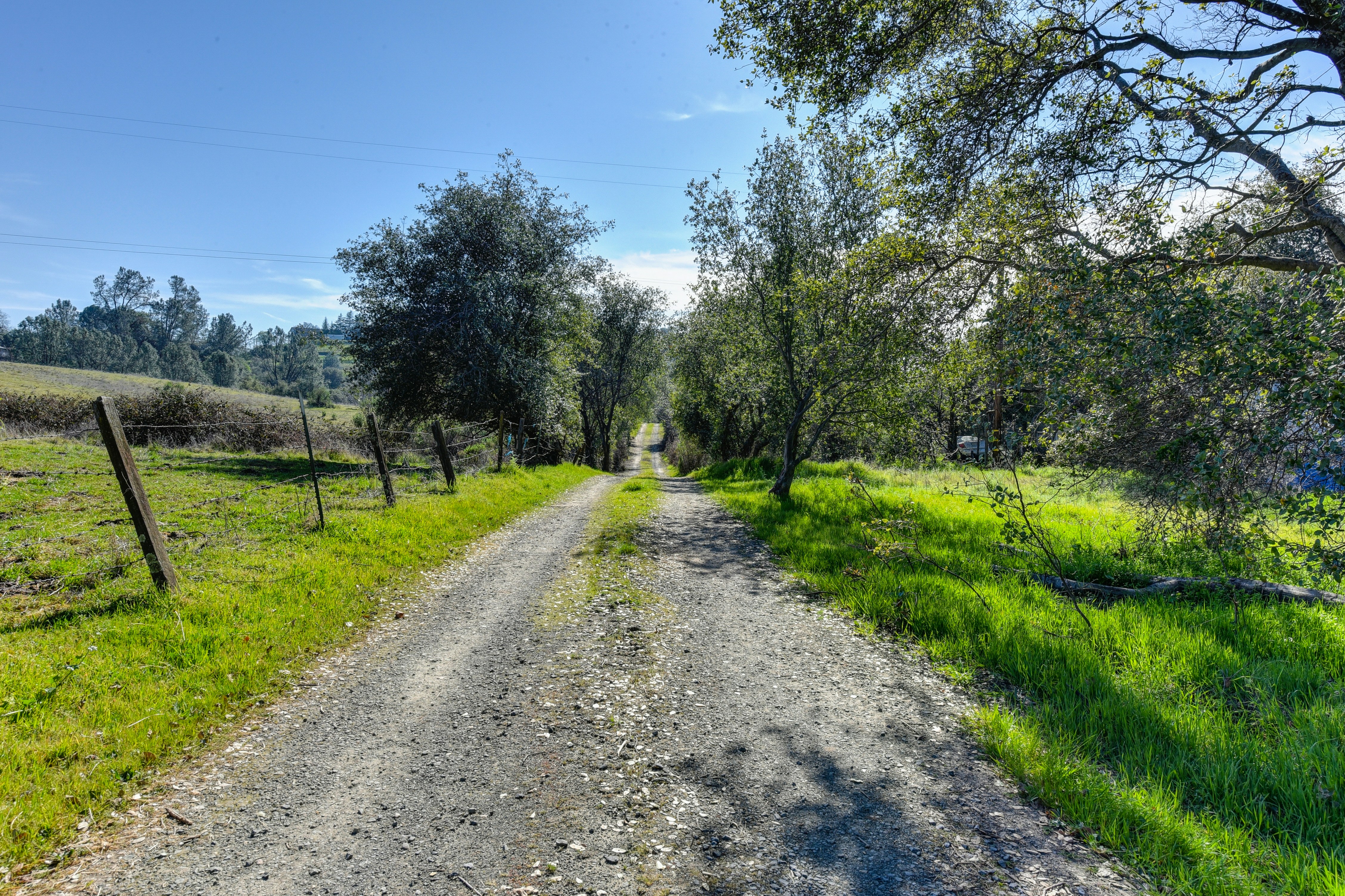 Photo by leo_visions_