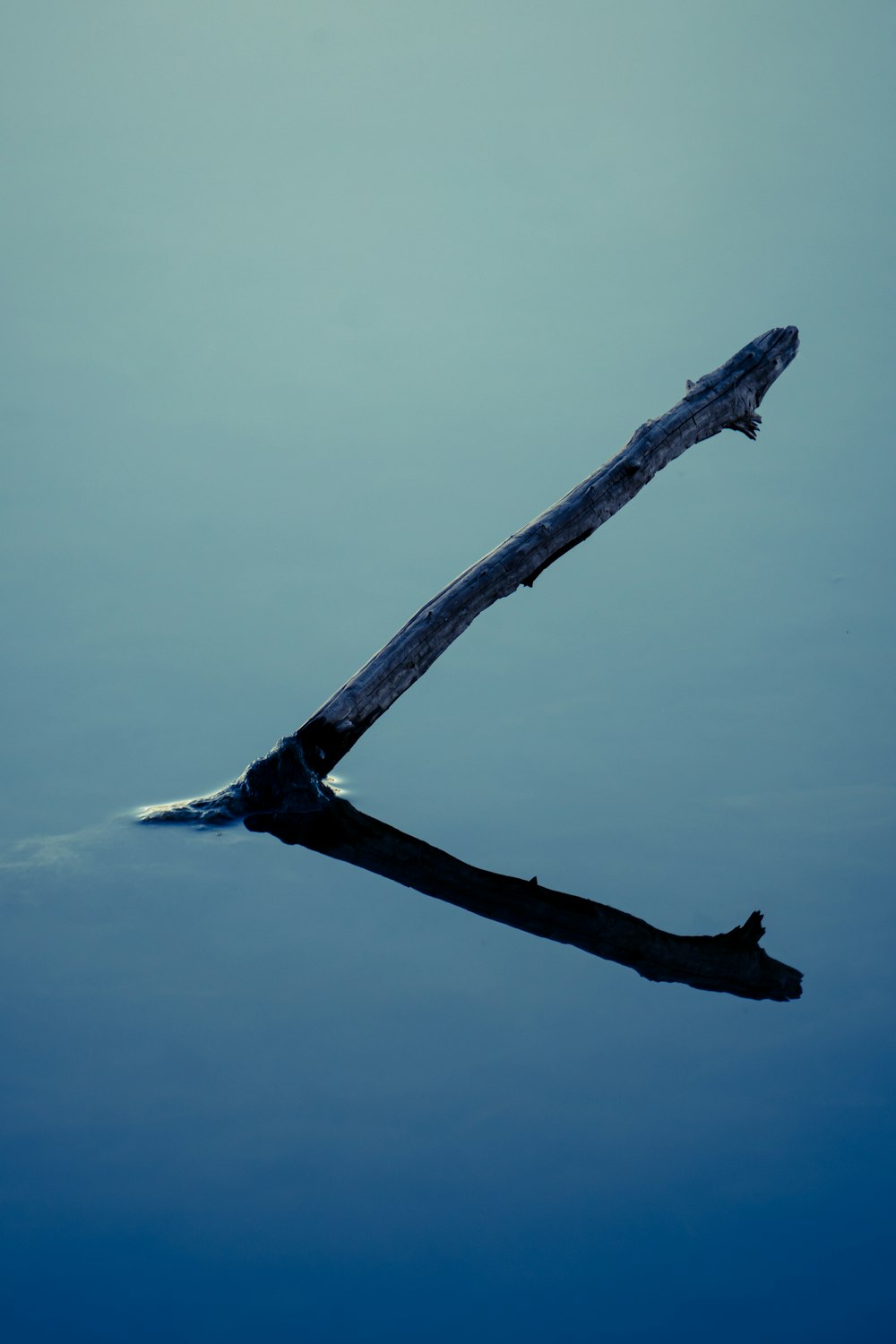 a piece of wood floating on top of a body of water