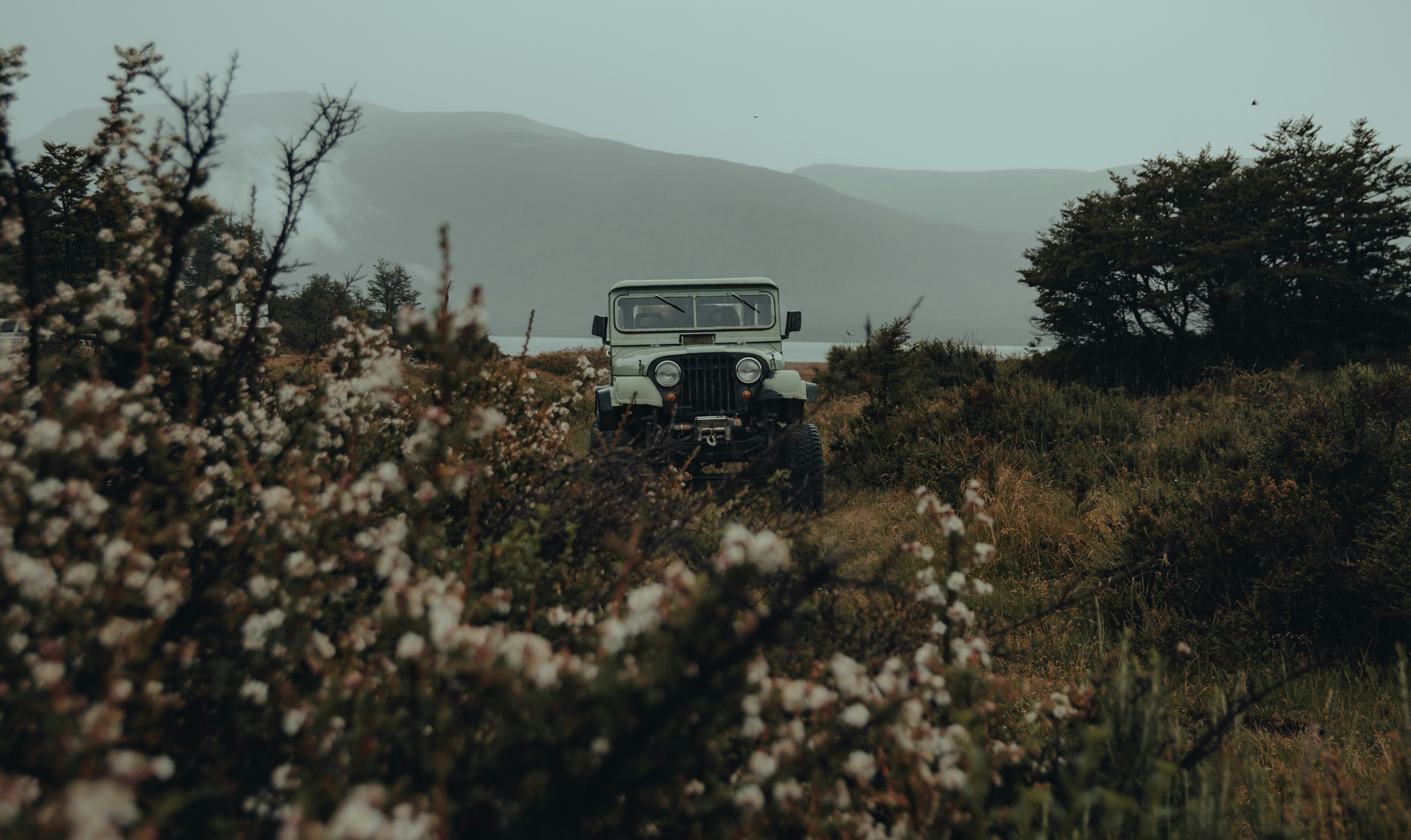 Photo by gasparzaldo