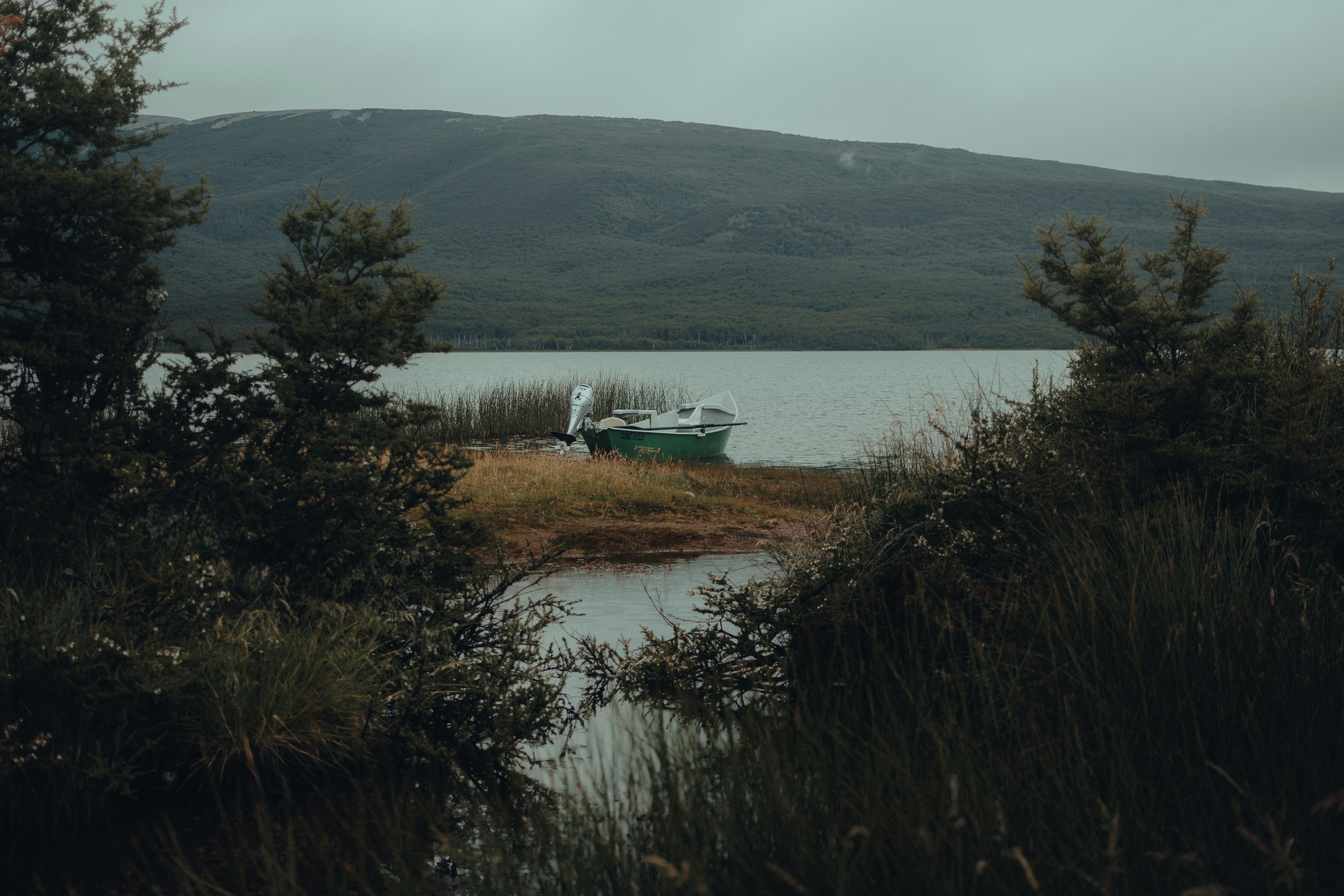 Photo by gasparzaldo