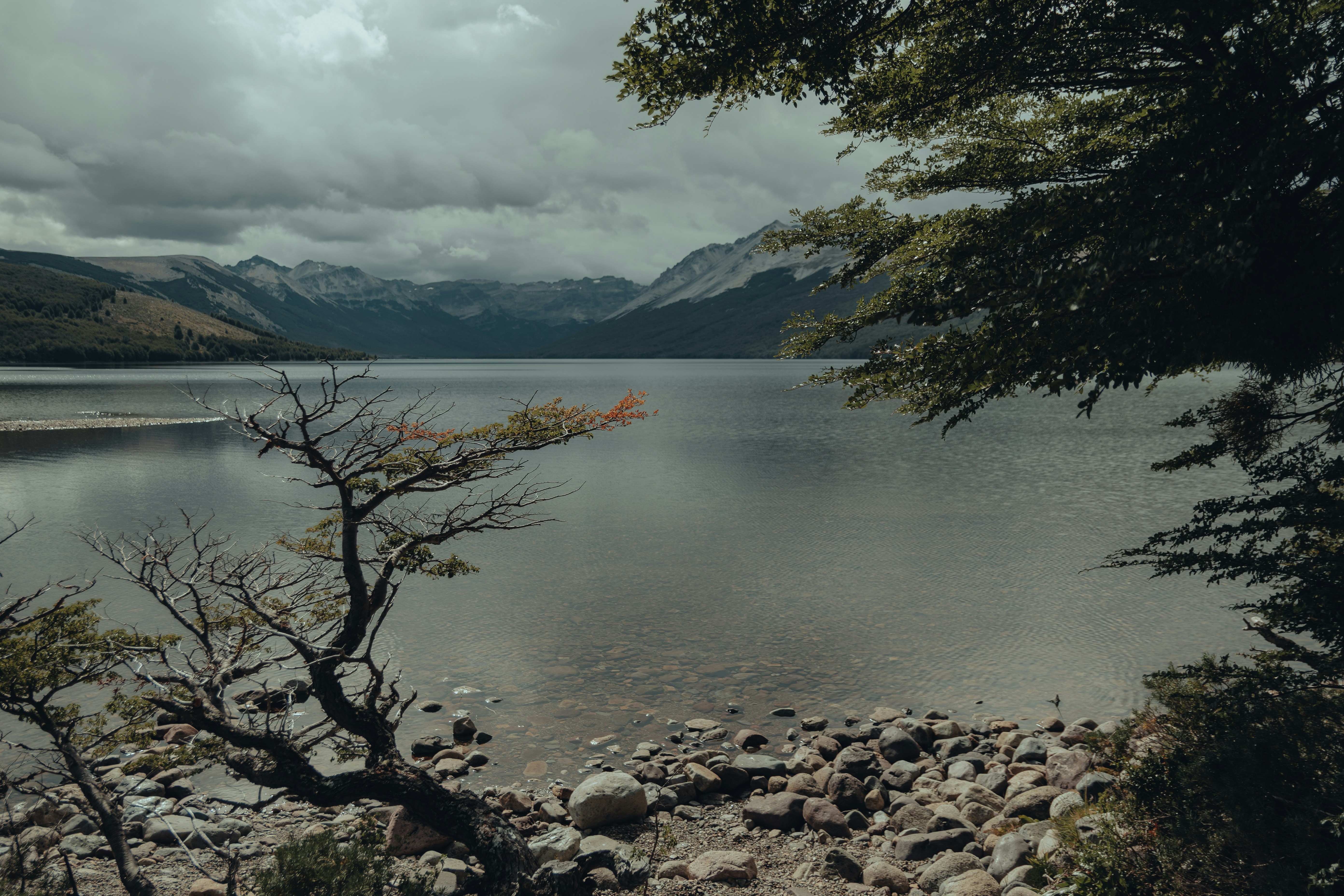 Photo by gasparzaldo