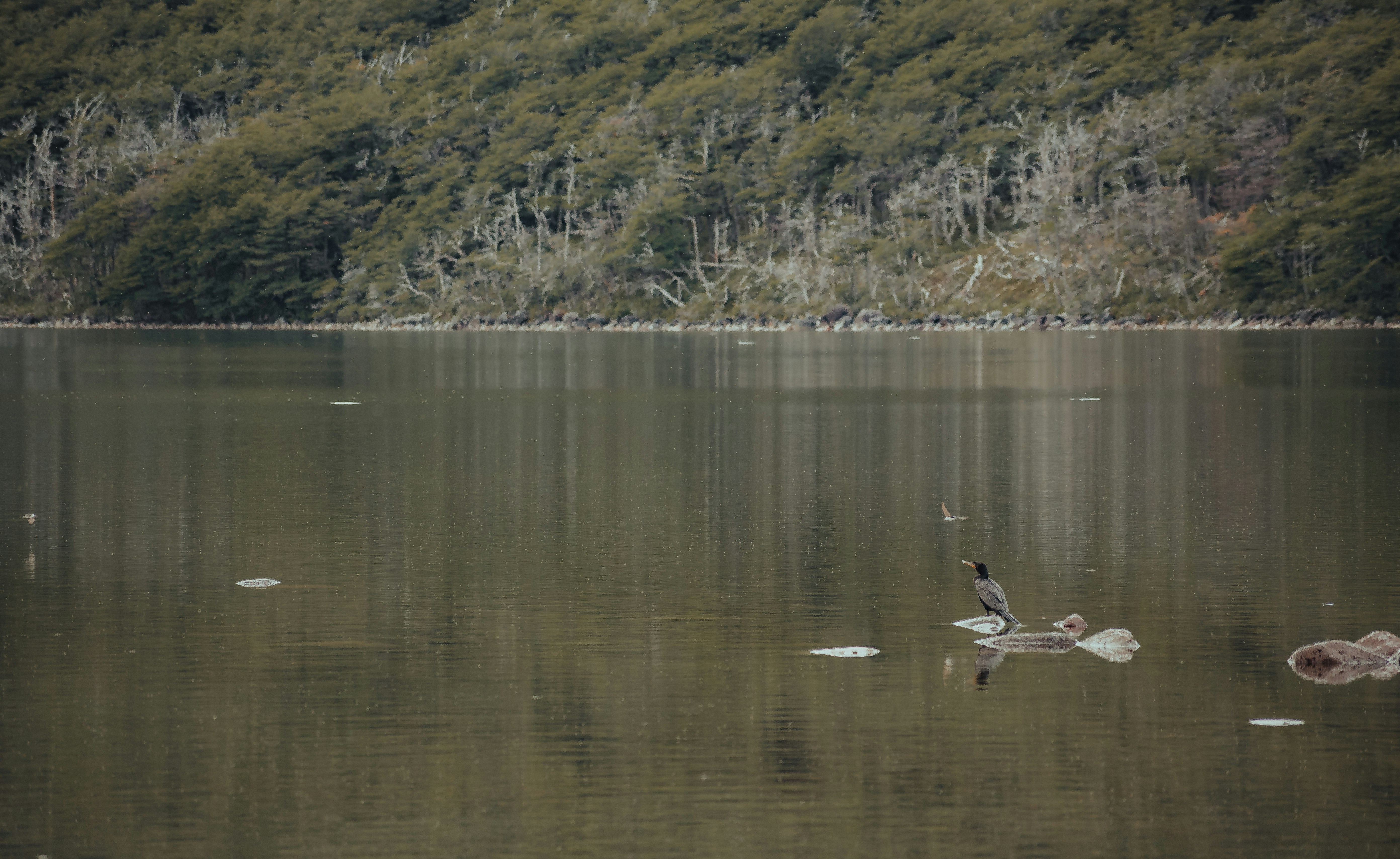 Pleasant Lake National Wildlife Refuge
