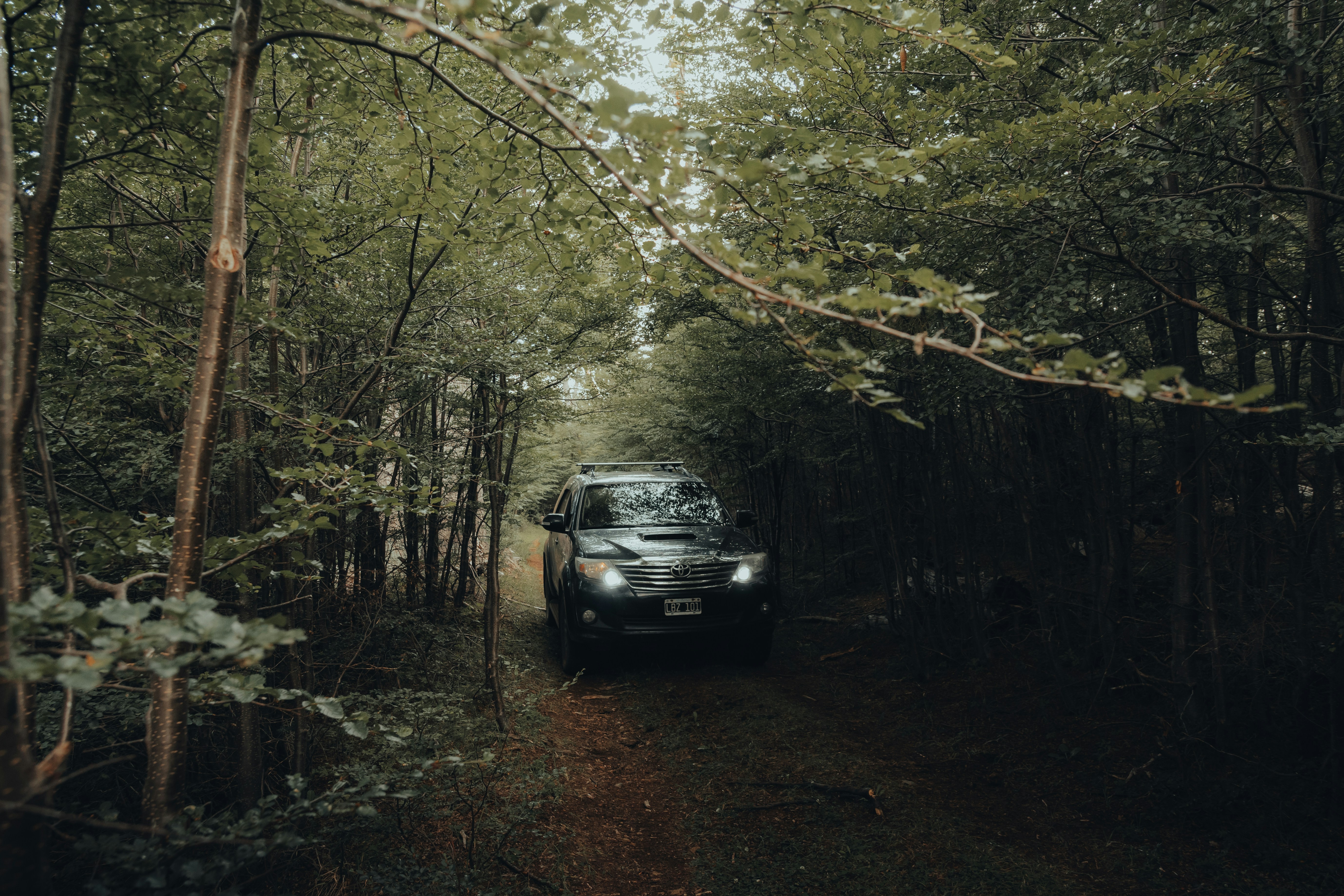 Photo by gasparzaldo