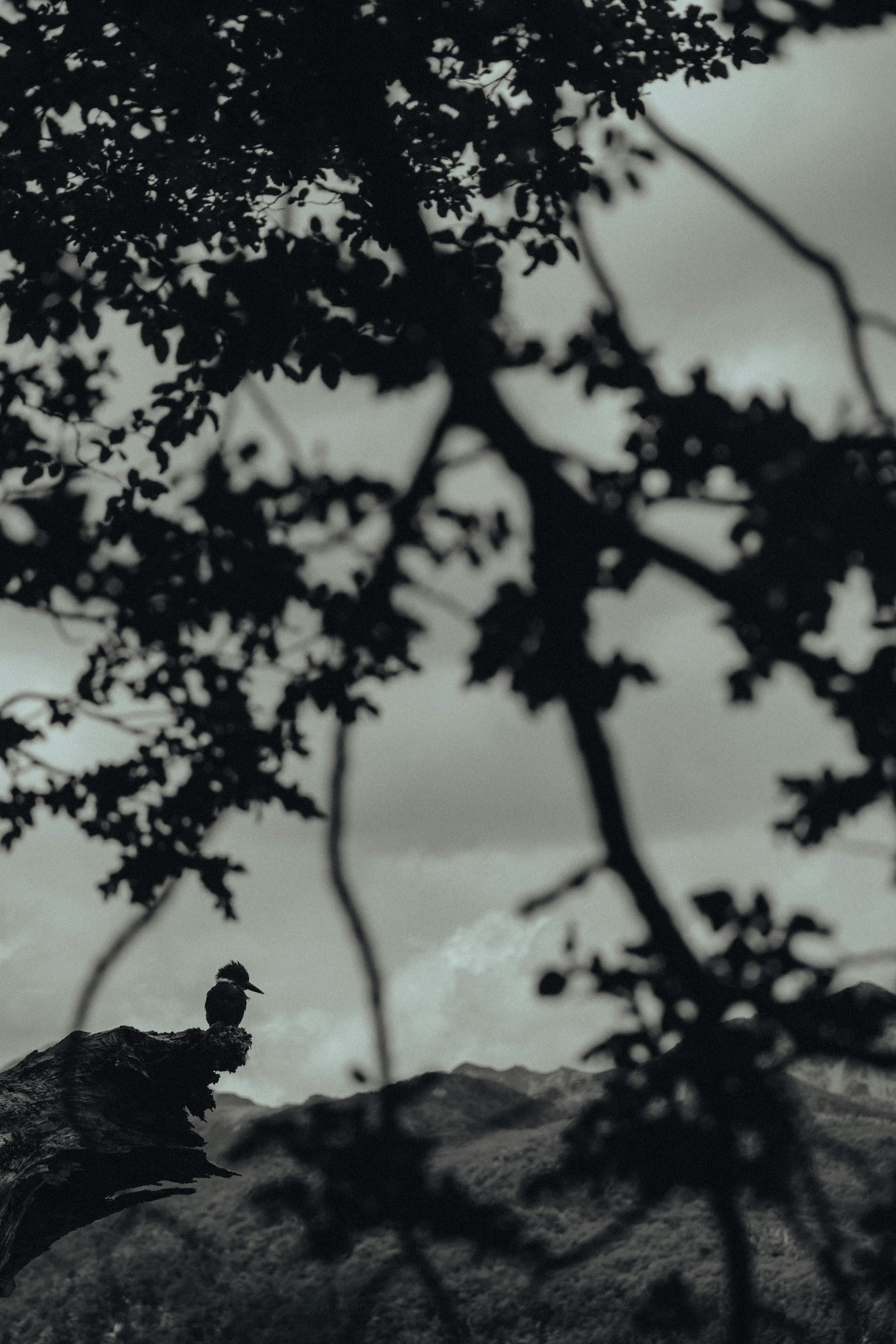 Photo by gasparzaldo