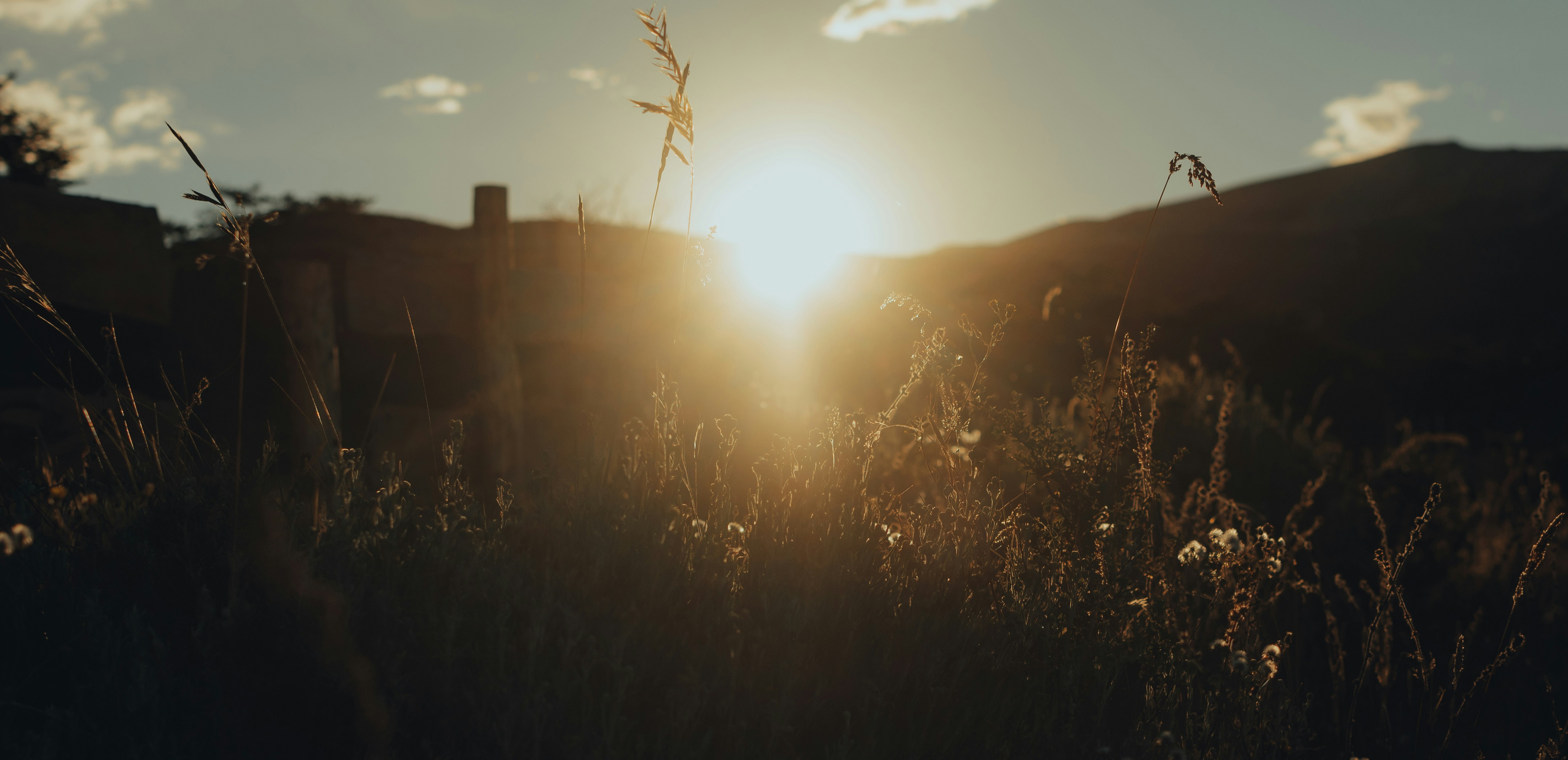 Photo by gasparzaldo