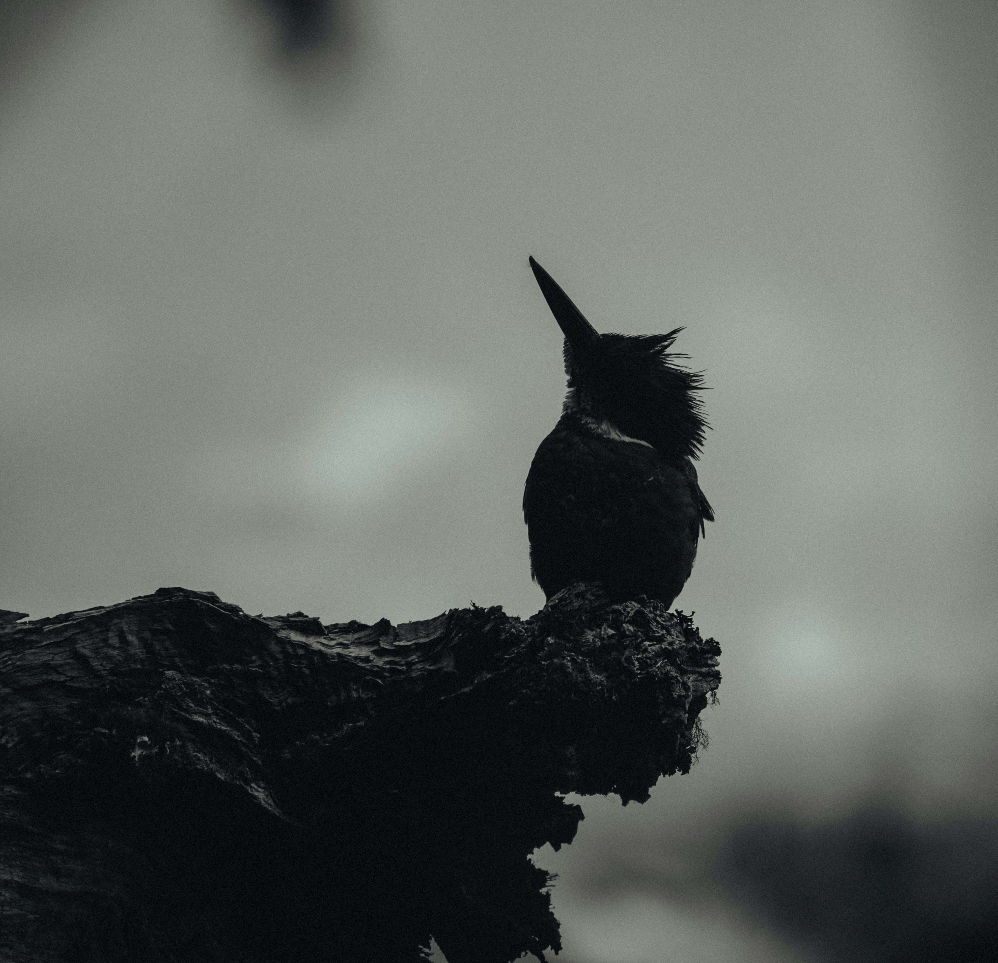 Photo by gasparzaldo