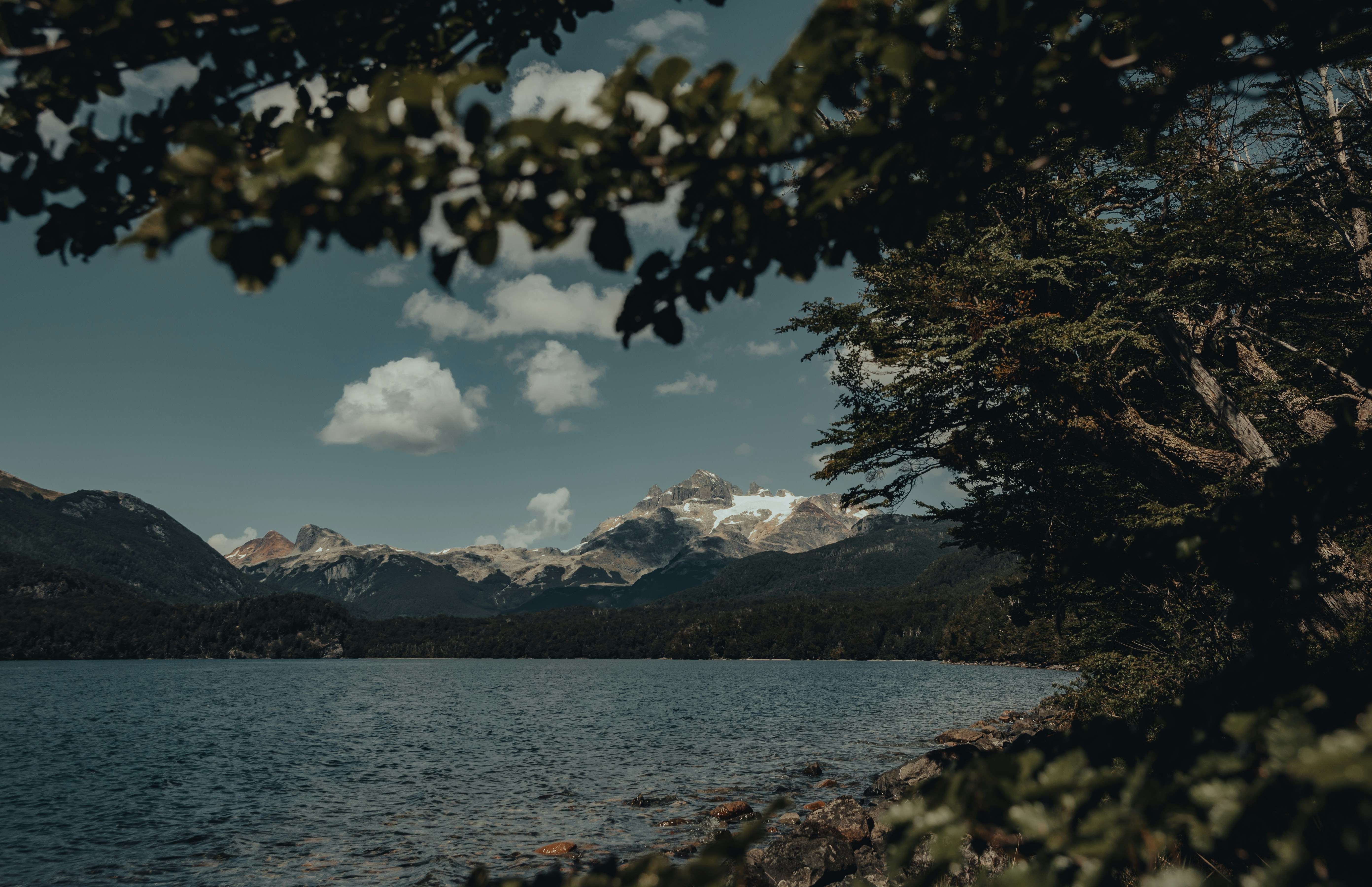 Photo by gasparzaldo