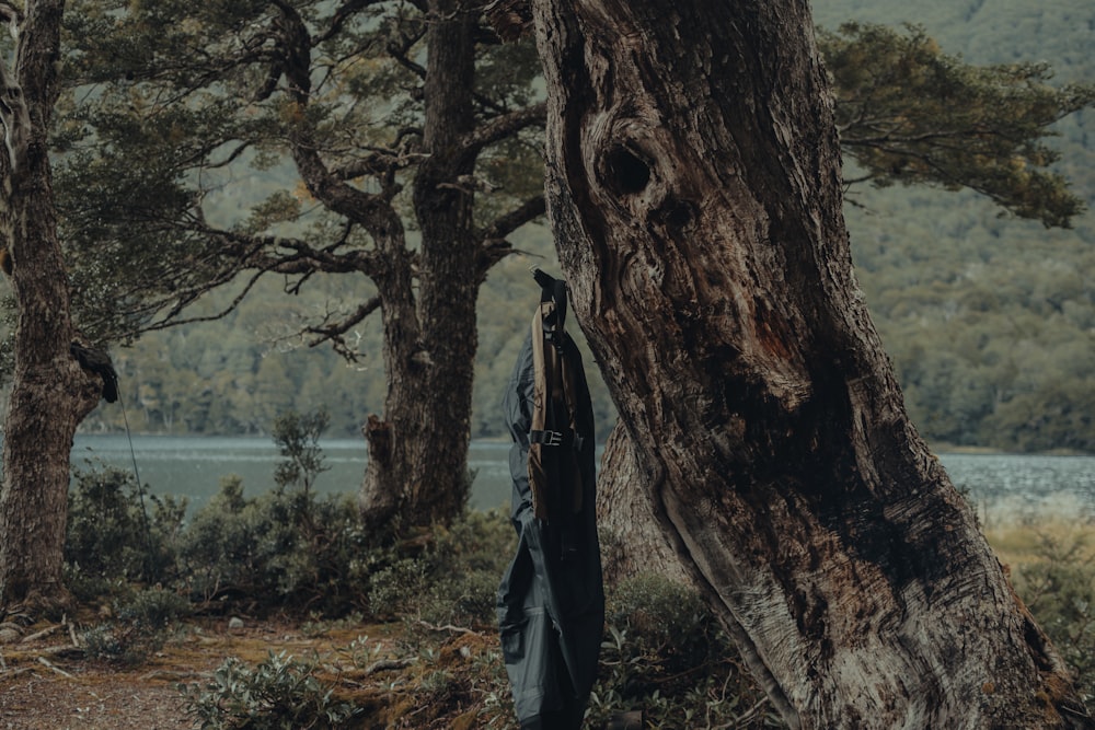 a black jacket hanging from a tree near a lake