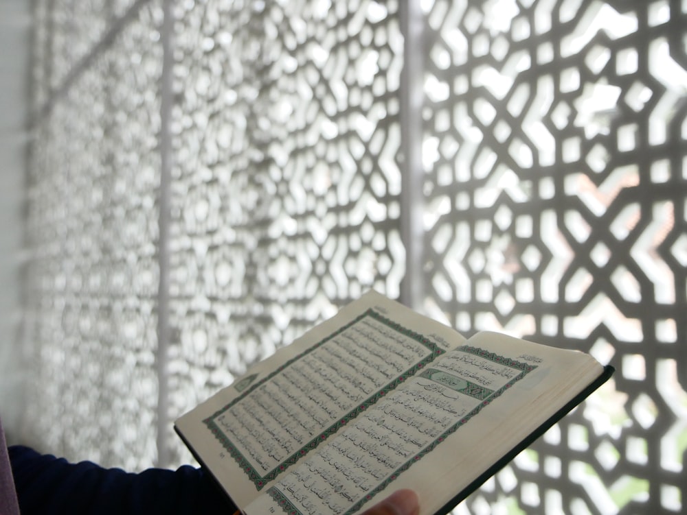 a person holding a book in their hands