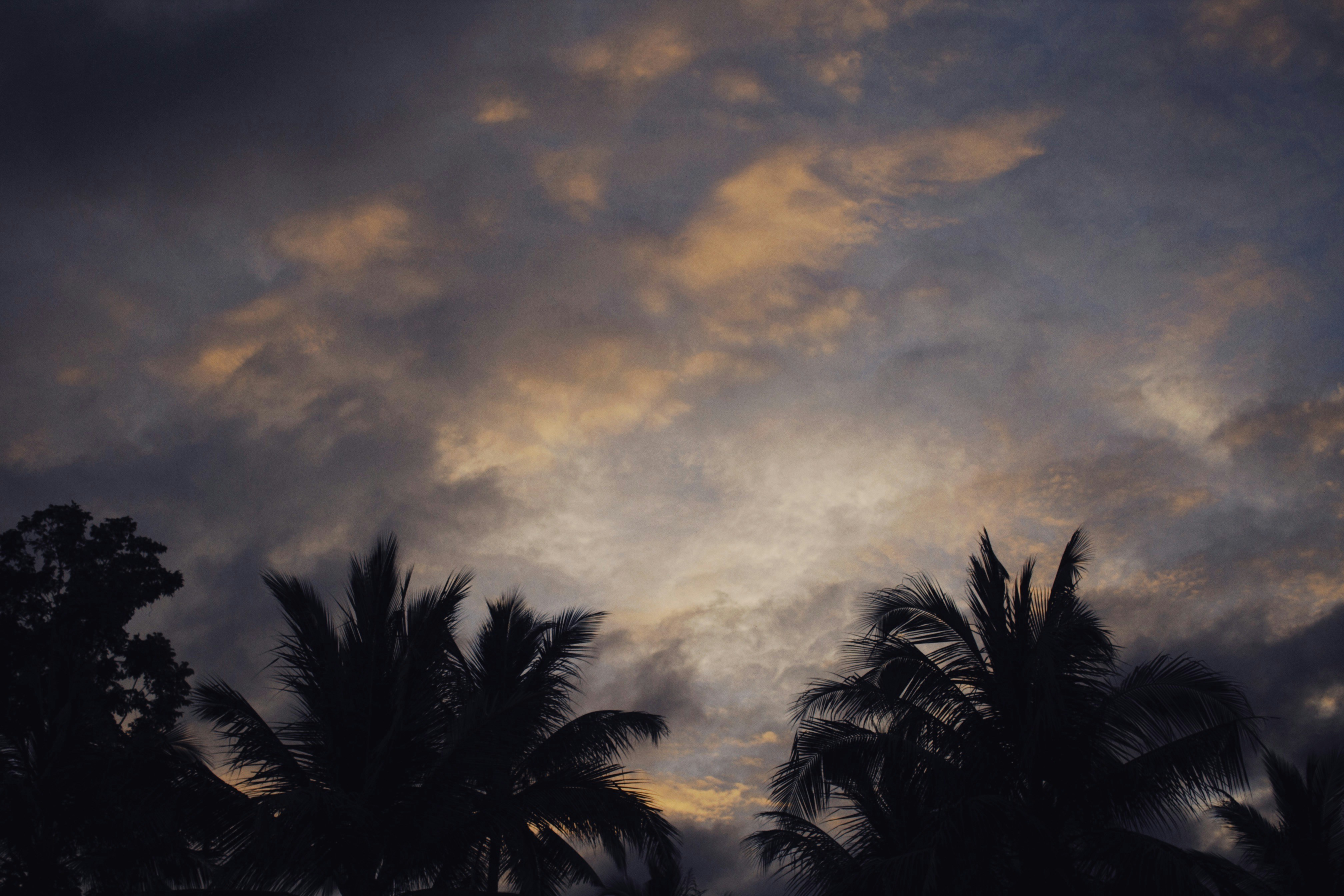 Photo by alexeydemidov