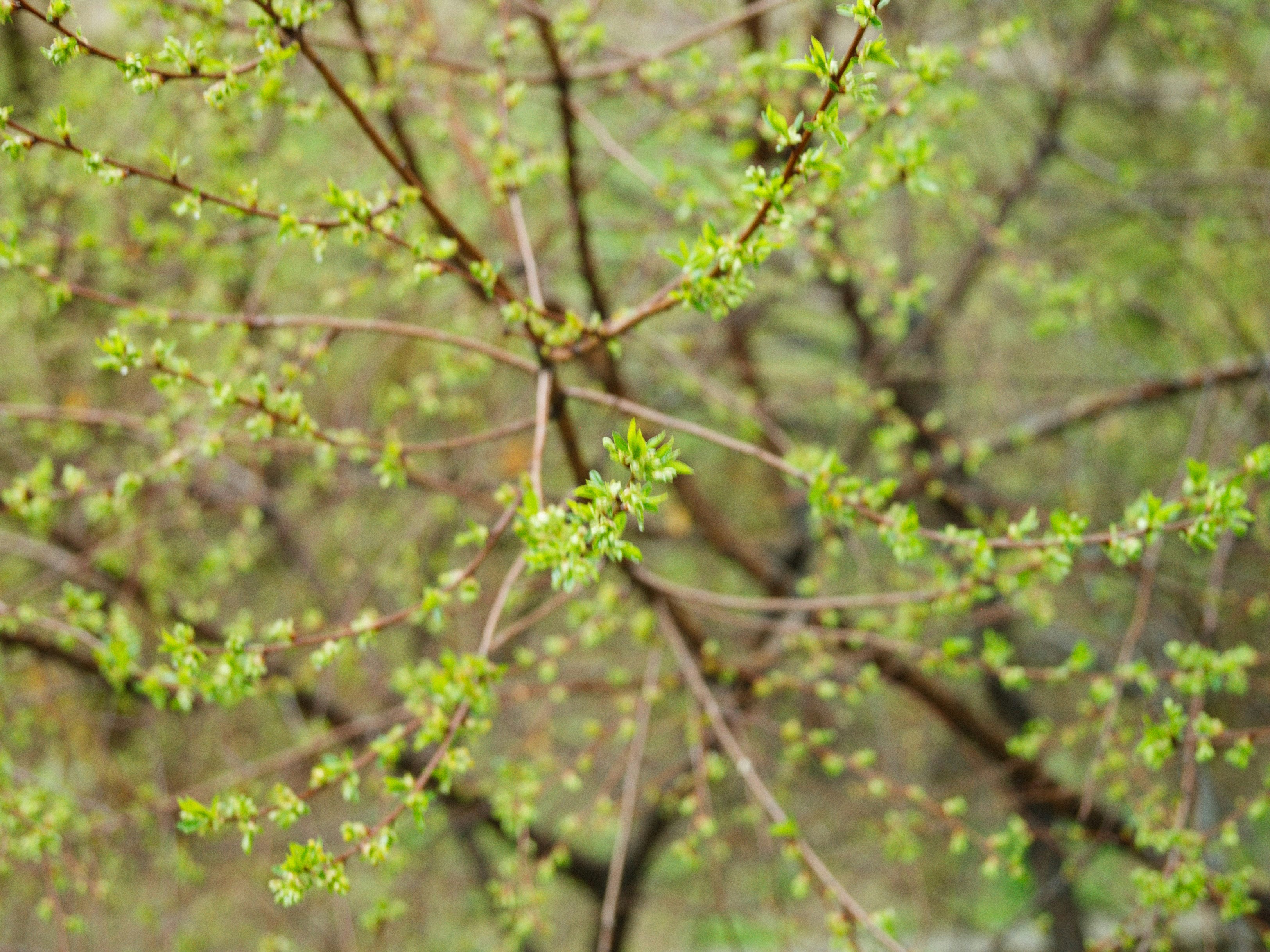 Photo by alexeydemidov