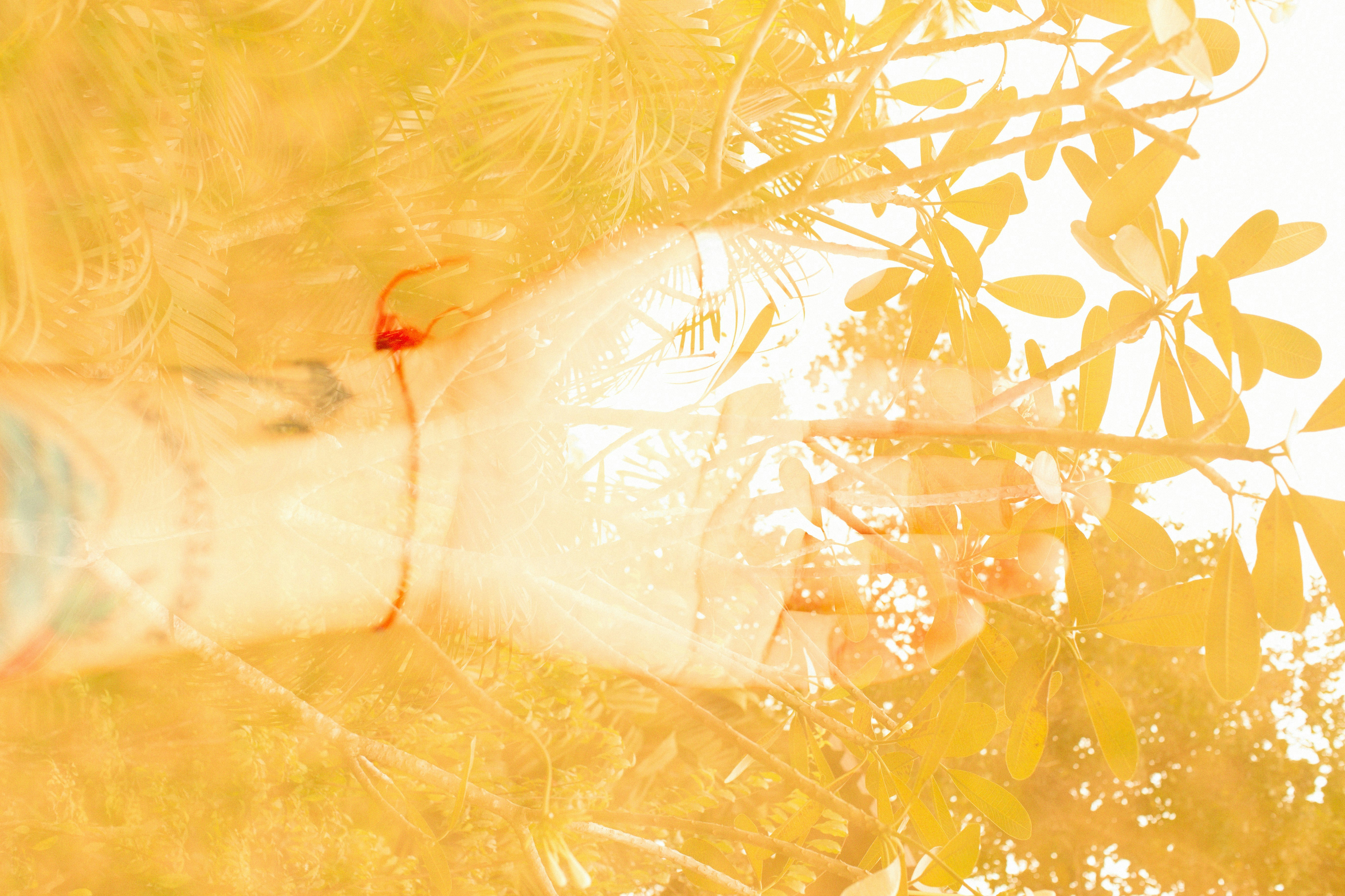 Photo by alexeydemidov