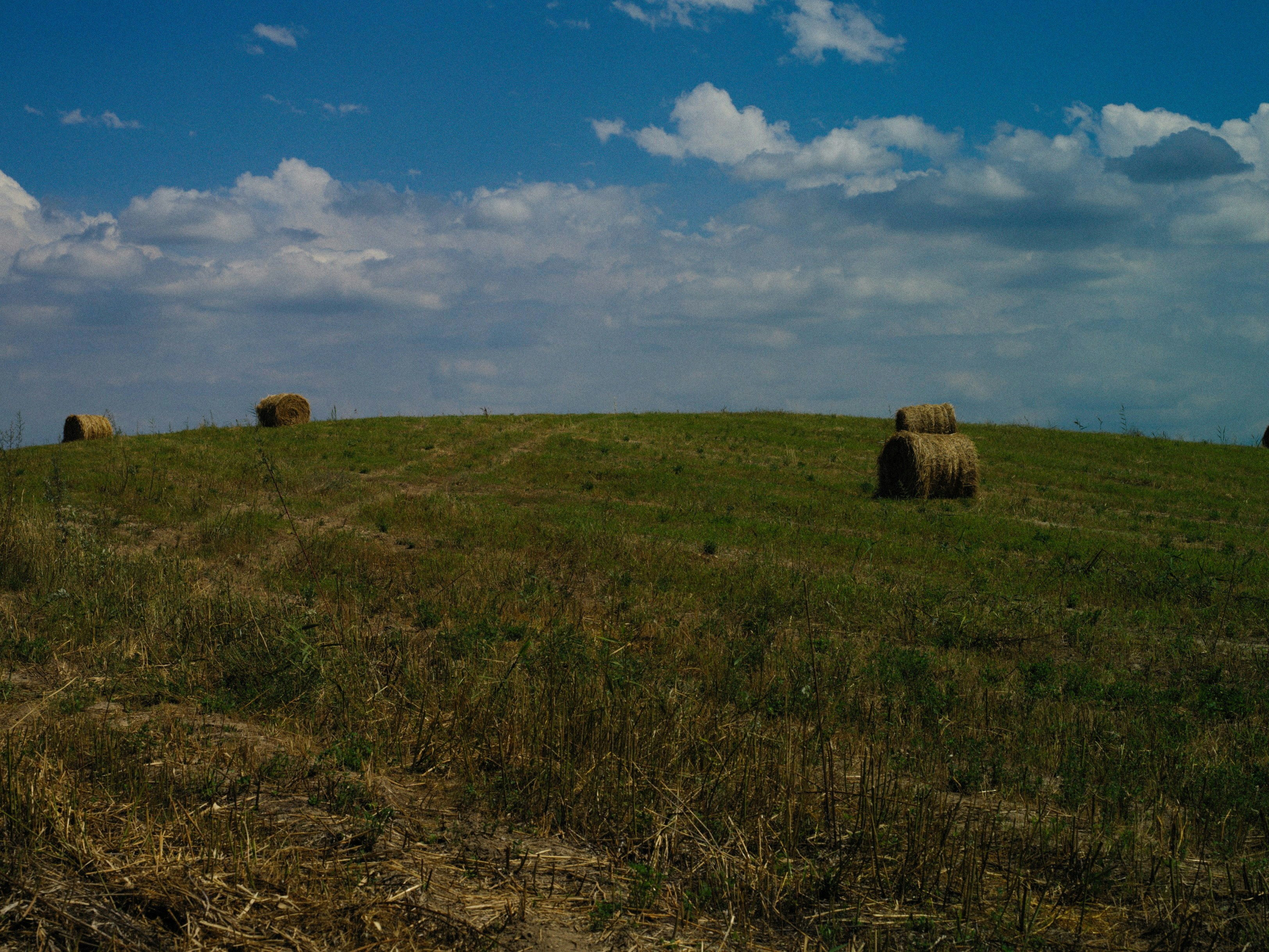 Photo by alexeydemidov