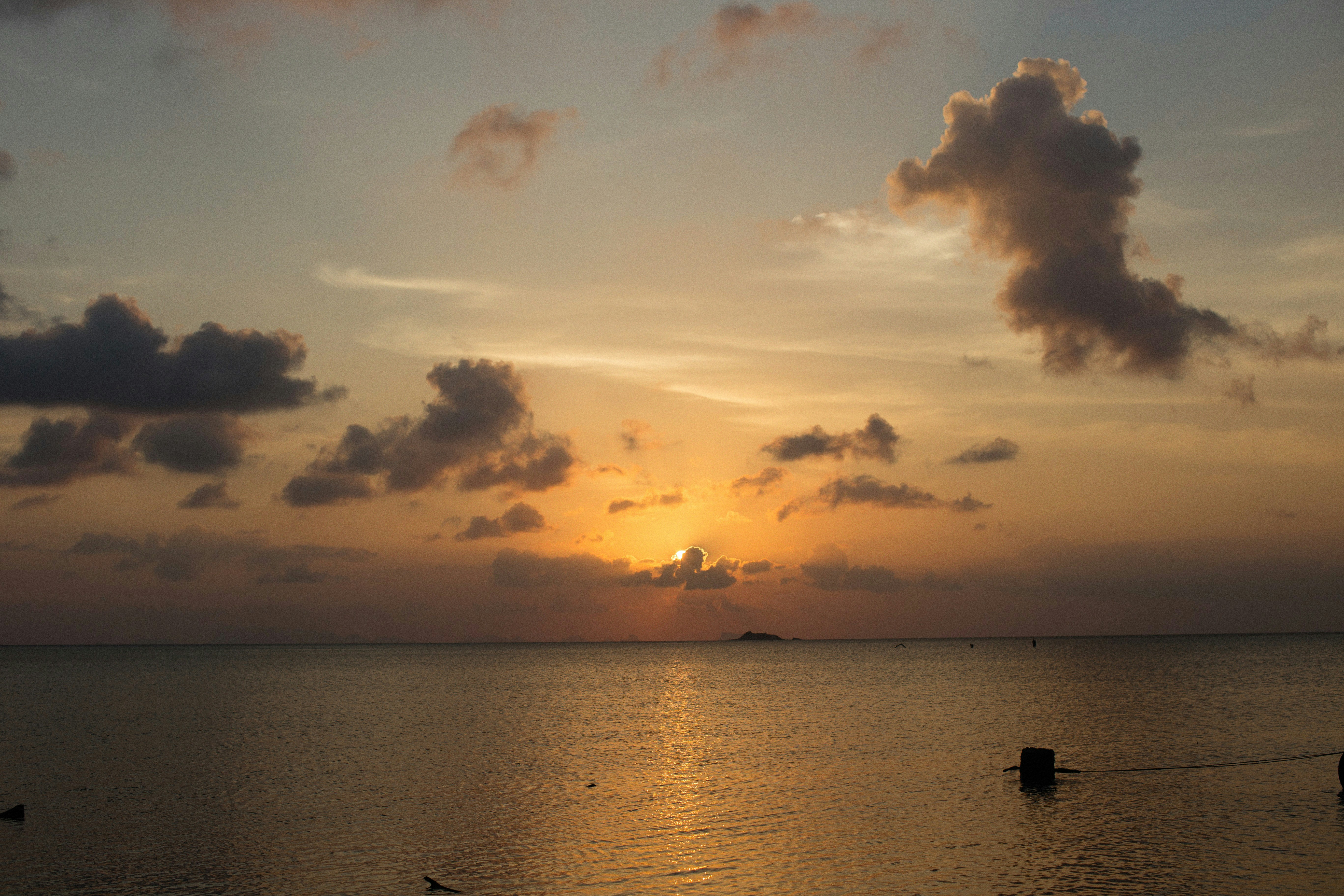 Photo by alexeydemidov