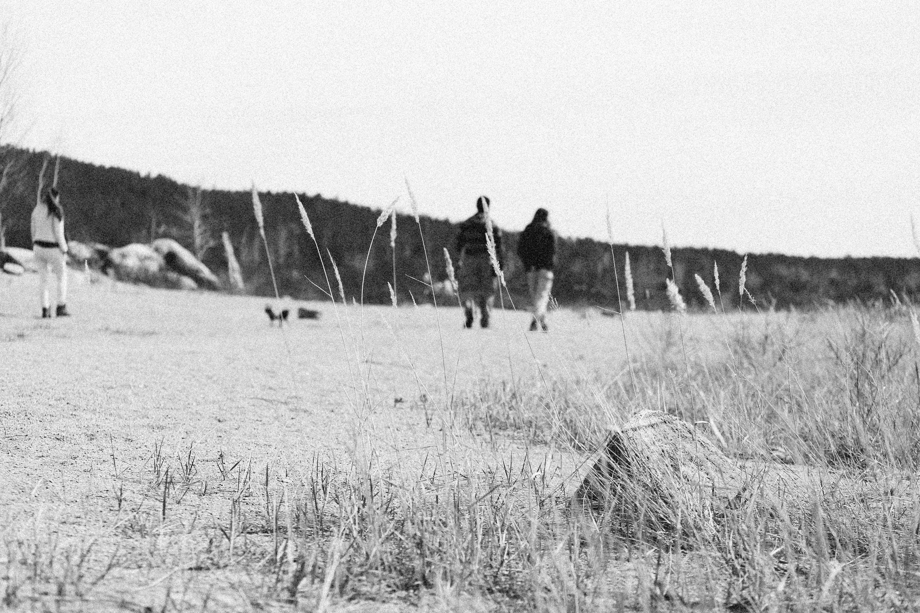 Photo by alexeydemidov