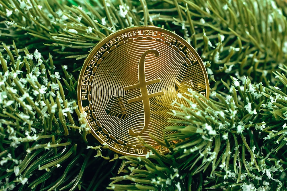 a gold bitcoin sitting on top of a tree