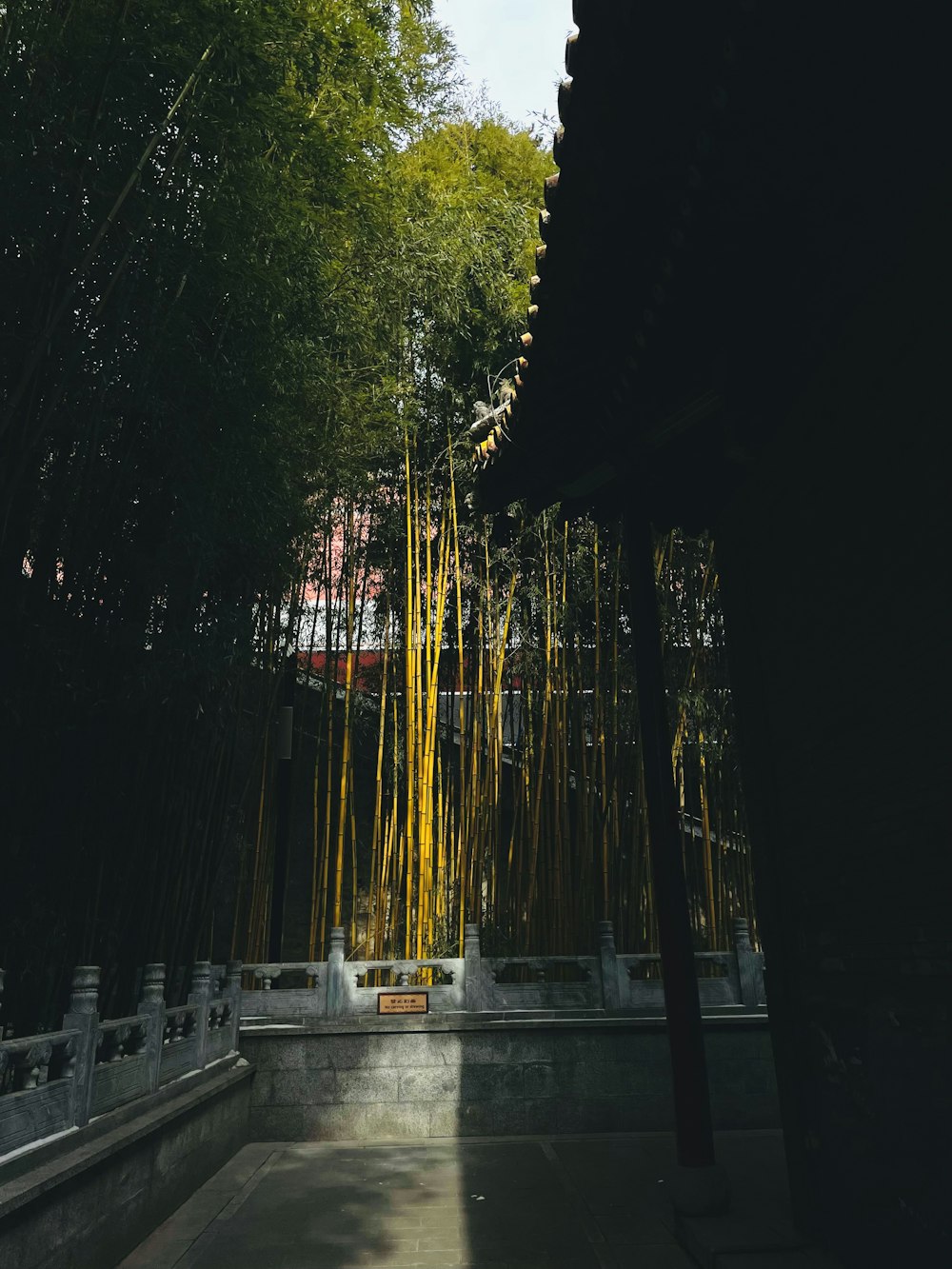 a tall bamboo tree in front of a building